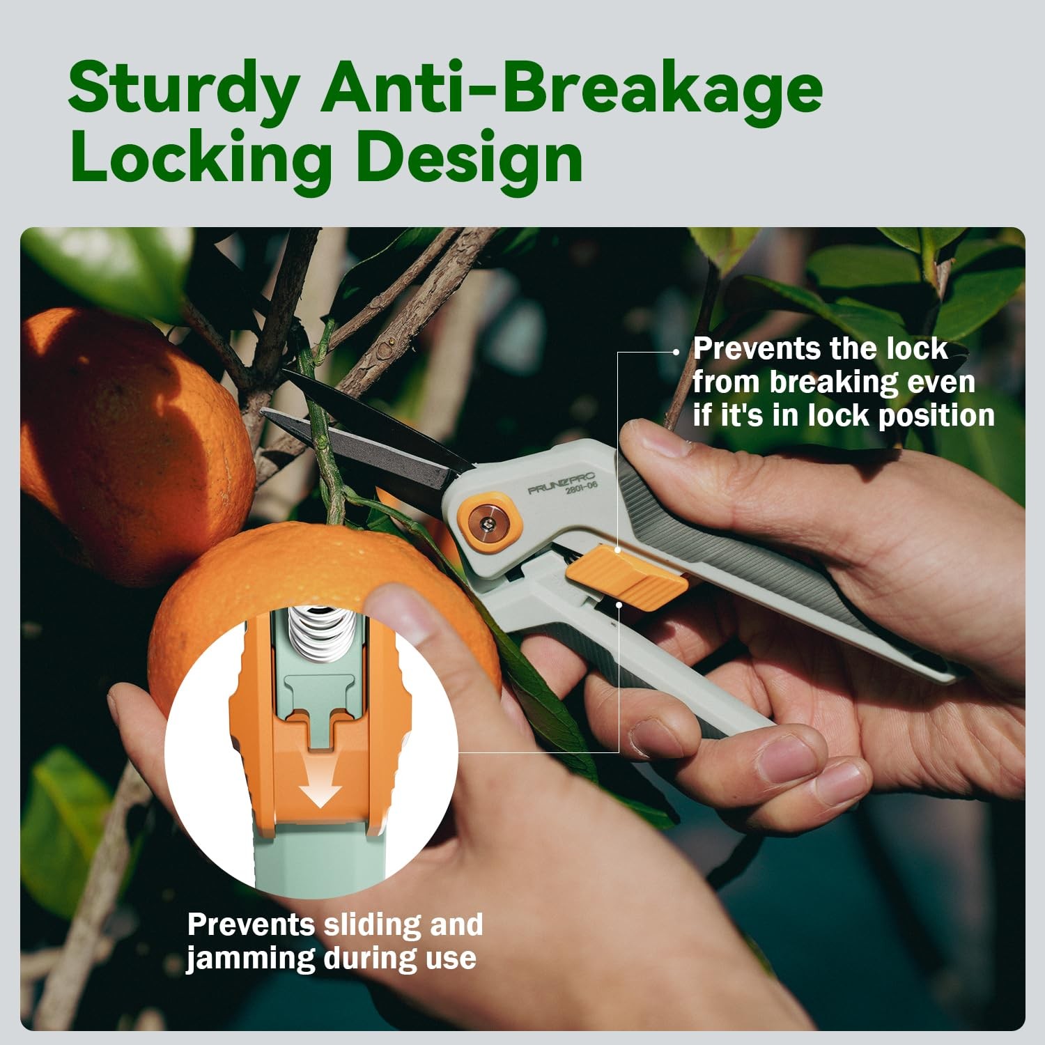 PrunePro Pruning Shears Gardening Scissors Set Professional Hand Pruner Green