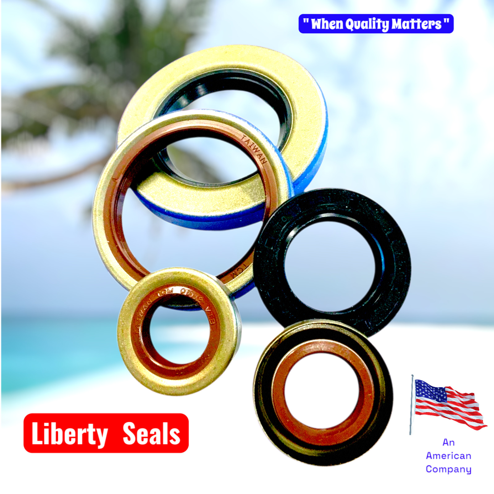 TCM 65X85X10TC-BX 75017754, 75022876, FITS NATIONAL - SKF - HARWAL -BELOW-