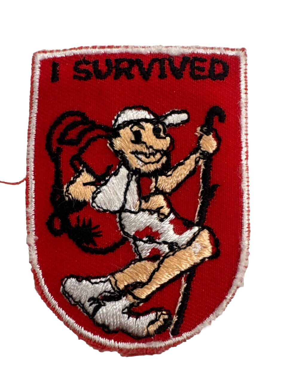 Vintage 1970s Patch Patch - 3x2 I Survived Camping Patch Outdoor Funny Humor