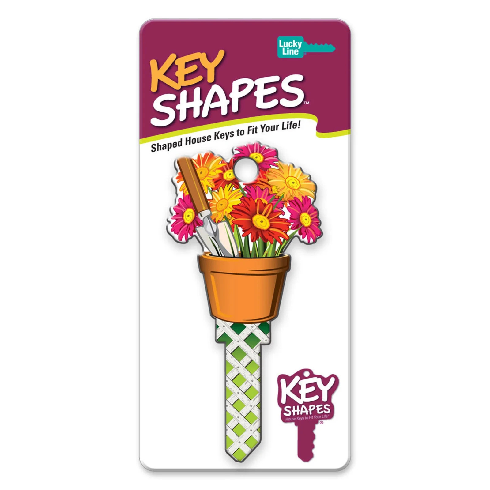 LUCKY LINE B142K GARDENING KWIKSET KW1 KEYWAY HOUSE KEY SHAPES