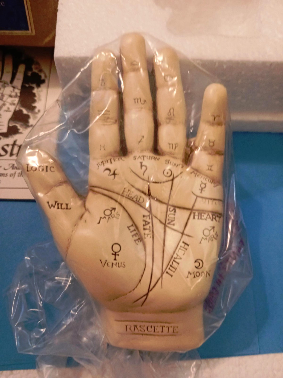 The Palmistry Hand Kit - Complete New Open Box