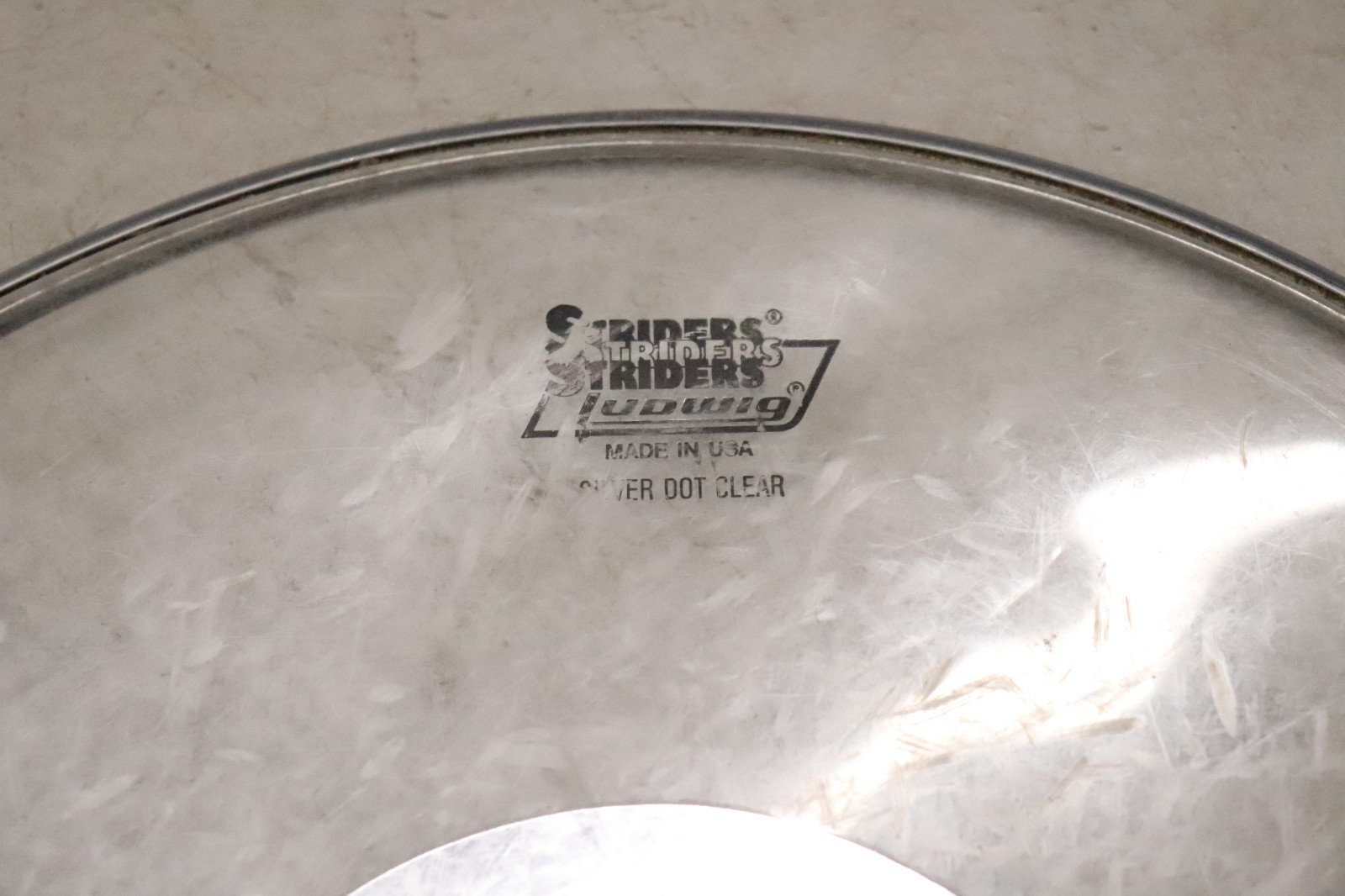 Ludwig 16" Striders Clear Silver Dot Drum Head Vintage