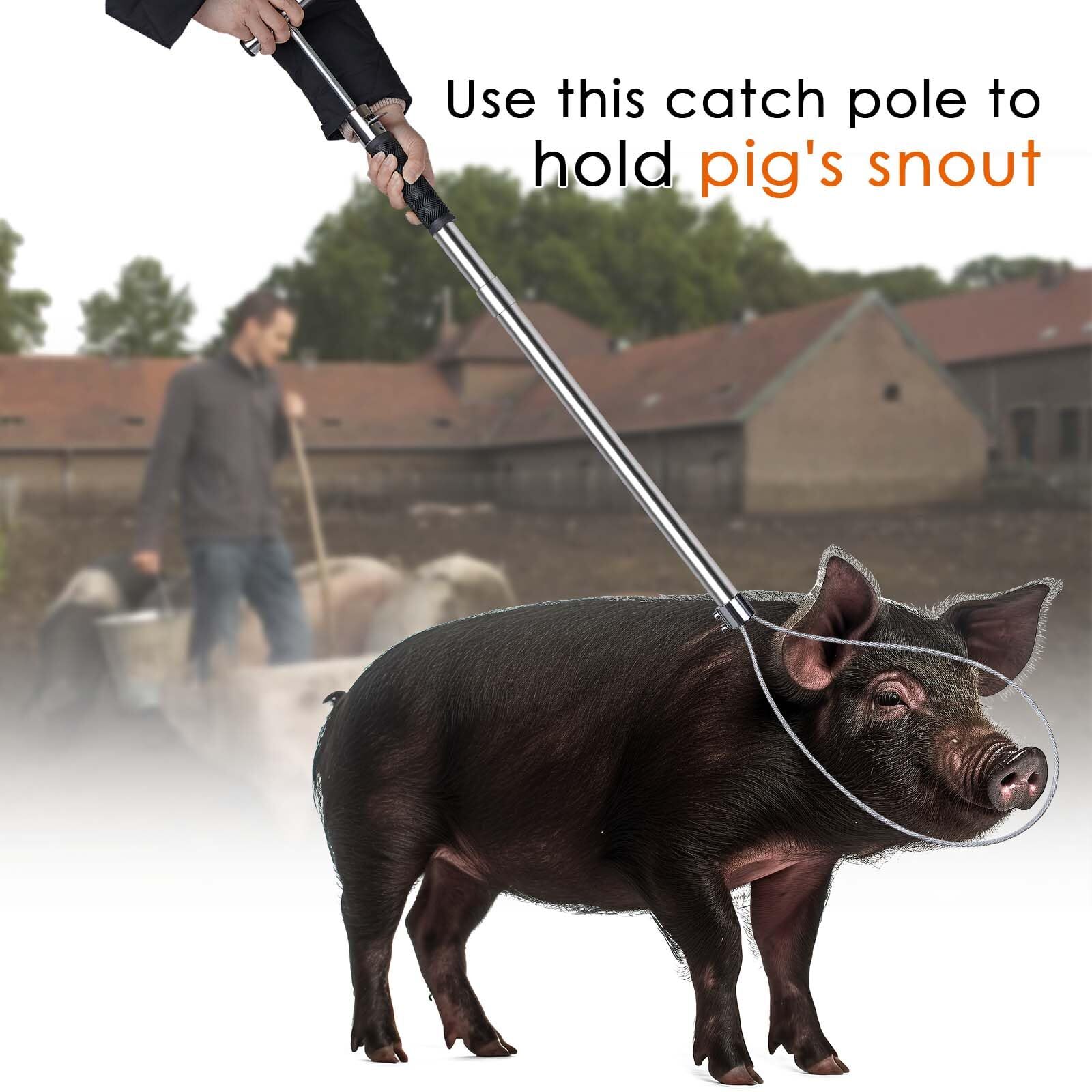 Dog Catcher Pole Animal Control Pole Stainless Steel Pig Holder Catcher Cat C...