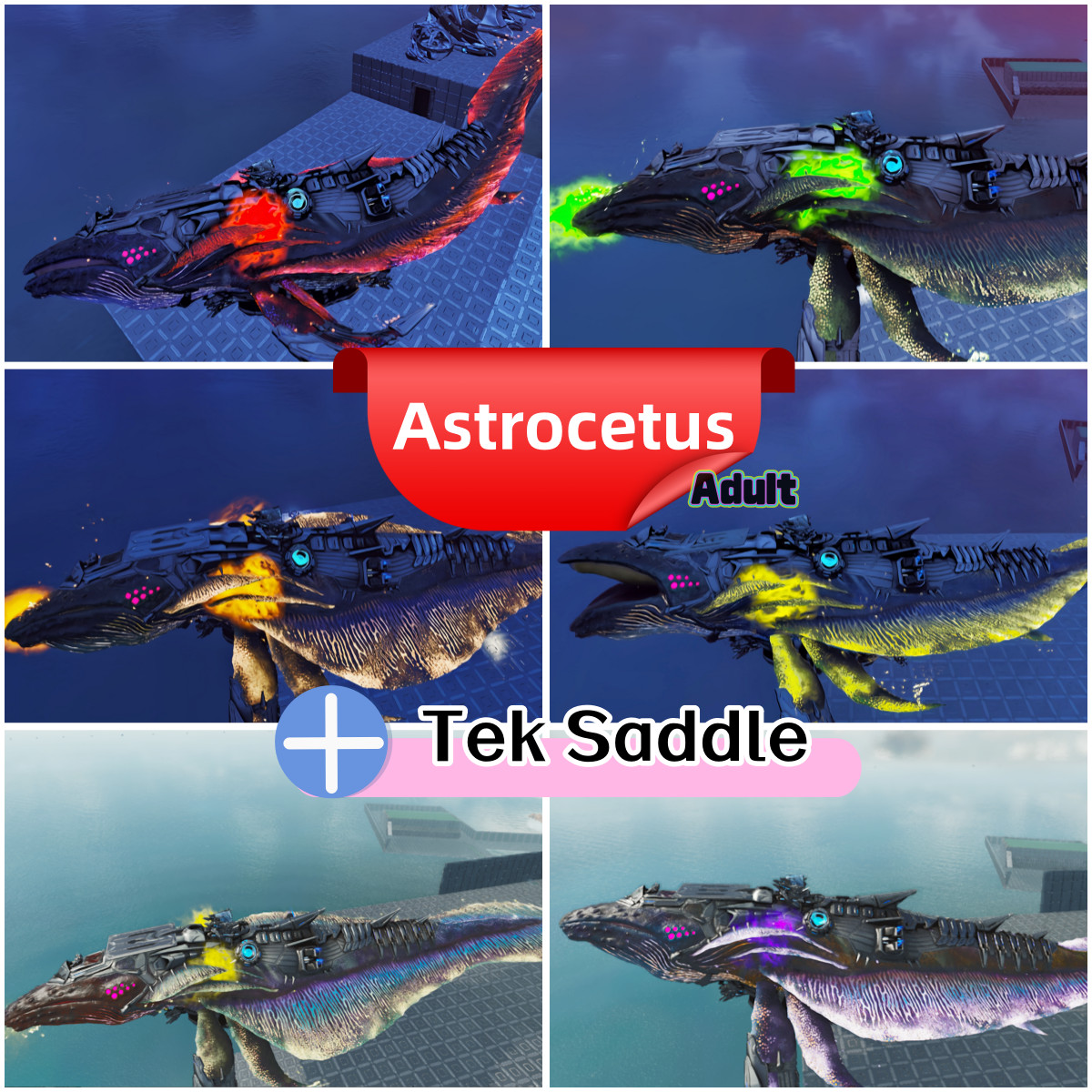 - ARK Survival Ascended Lvl 200+ Astrocetus Adult +free tek Saddle -/ Embryo PVE