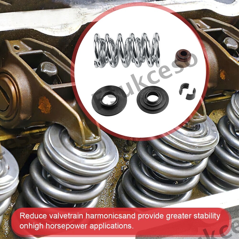 BTR .660" Platinum Dual Valve Spring Kit for LS 4.8 5.3 5.7 6.0 6.2