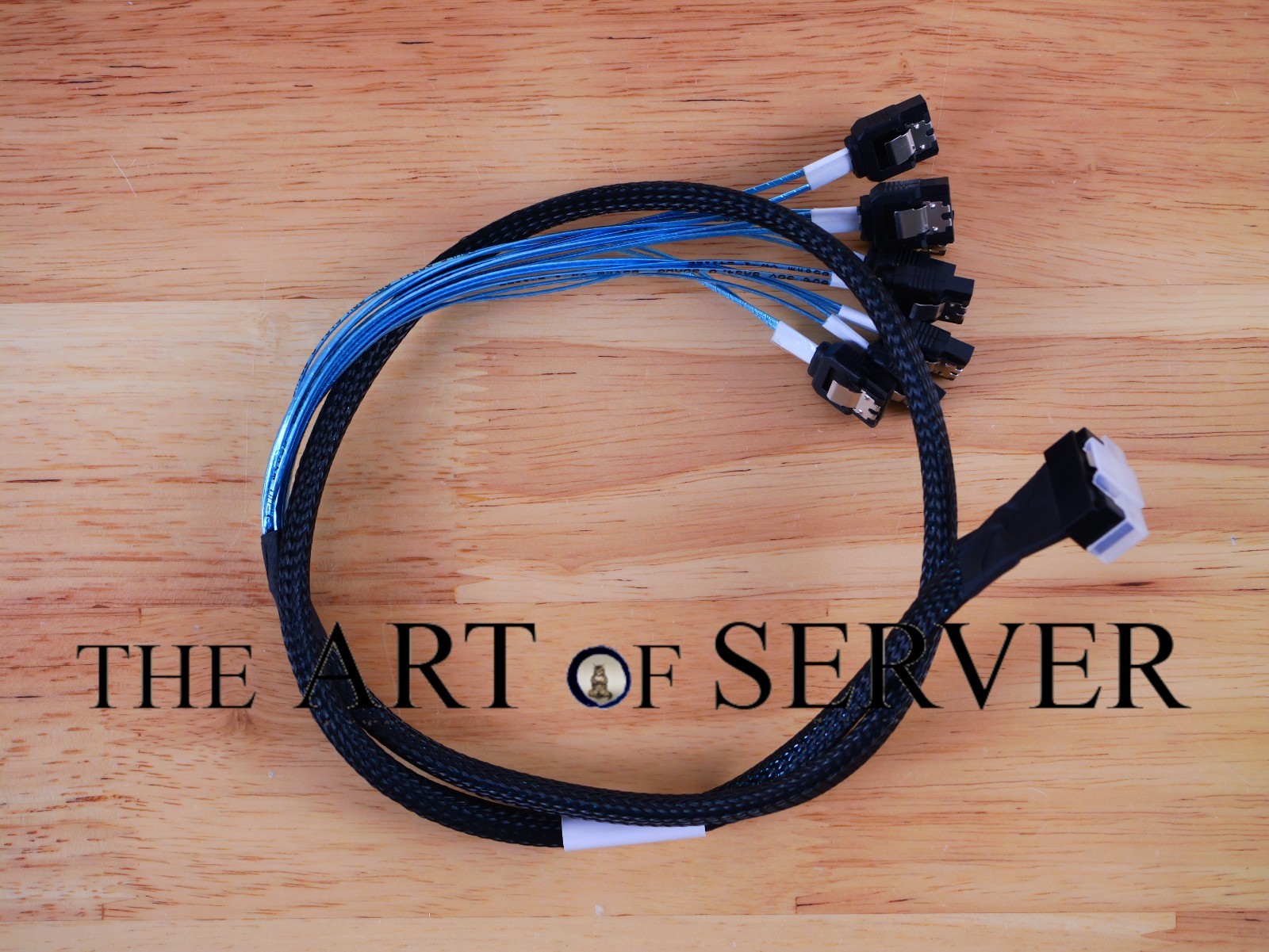 SAS cable SFF-TA-1016 MCIO SlimSAS LP to 8xSATA forward breakout [CBL-A0057L-01]