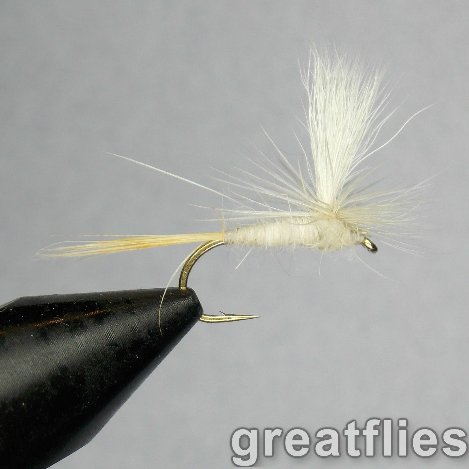 1 dozen (12) - Light Cahill - PARACHUTE