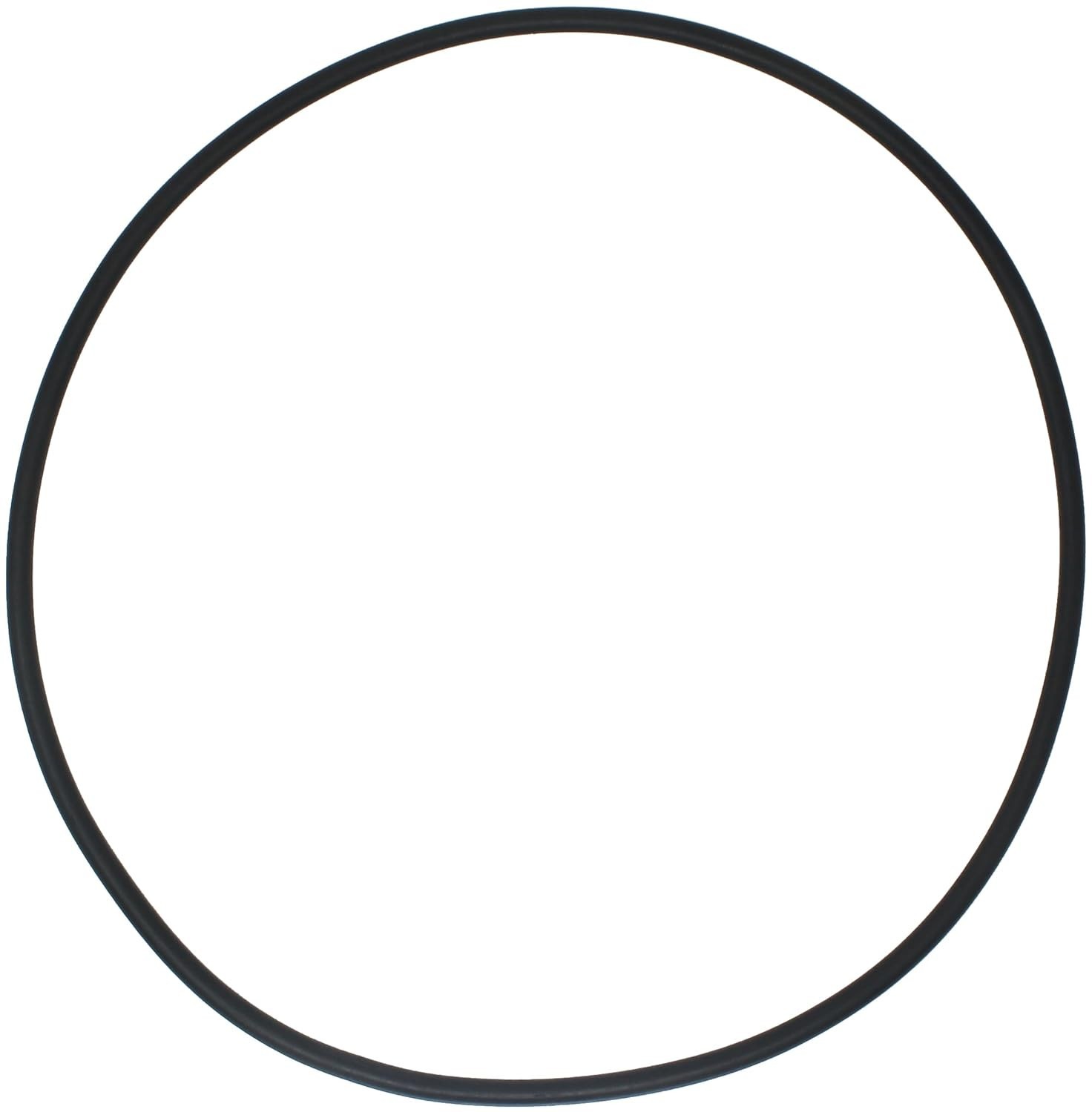 Filter Head O-Ring fits Hayward CXFHR1001 and RGX45G, Musking Cartridge, FE129