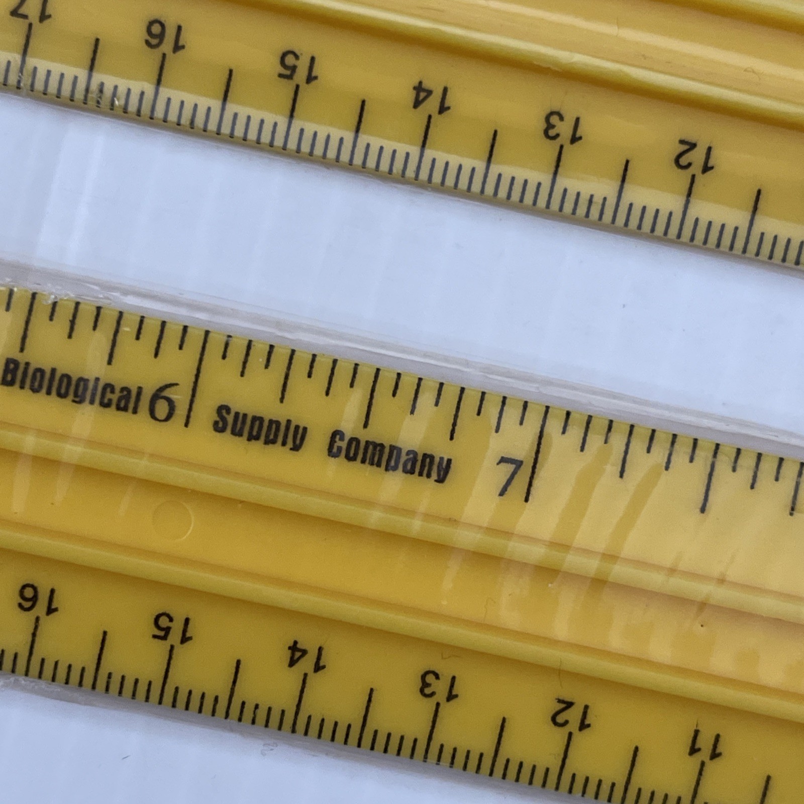 Lot of 3 Rulers Carolina Biological Supply Co. Lab Tool Kit Yellow.