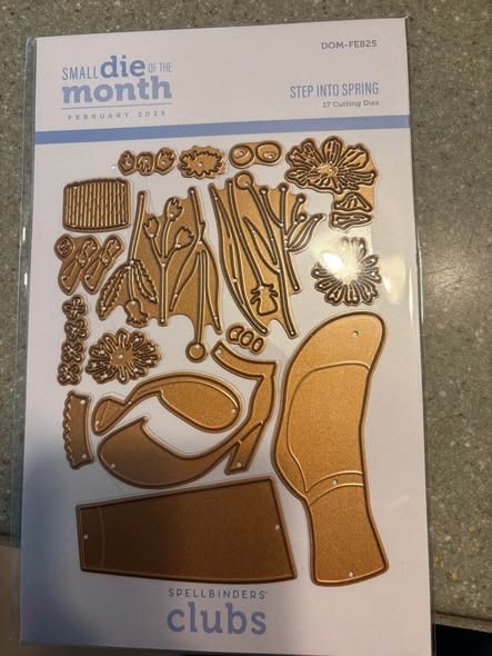 Spellbinders Small Die Of The Month Club February 2025 Step Into Spring New