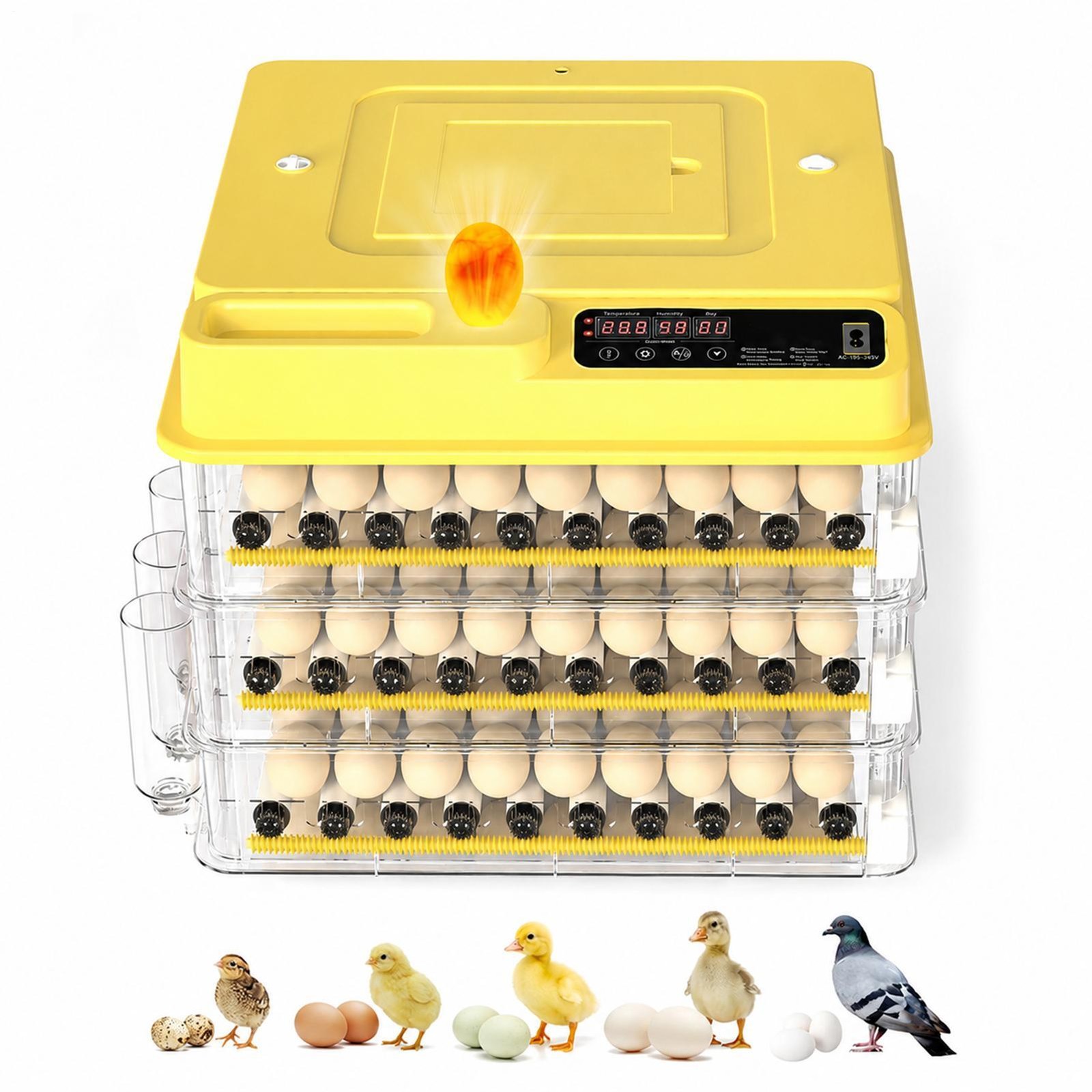 189 Egg Incubator Automatic Egg Turning Egg Hatching Temp Wheelbase Adjust