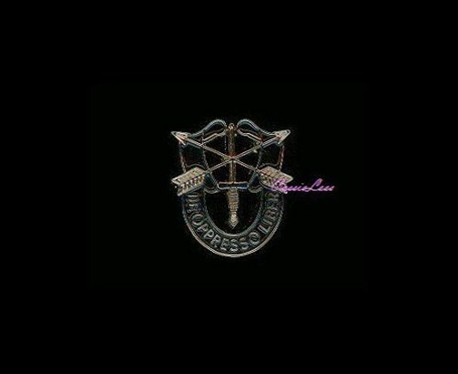 Army Special Forces Badge + a custom promo pin