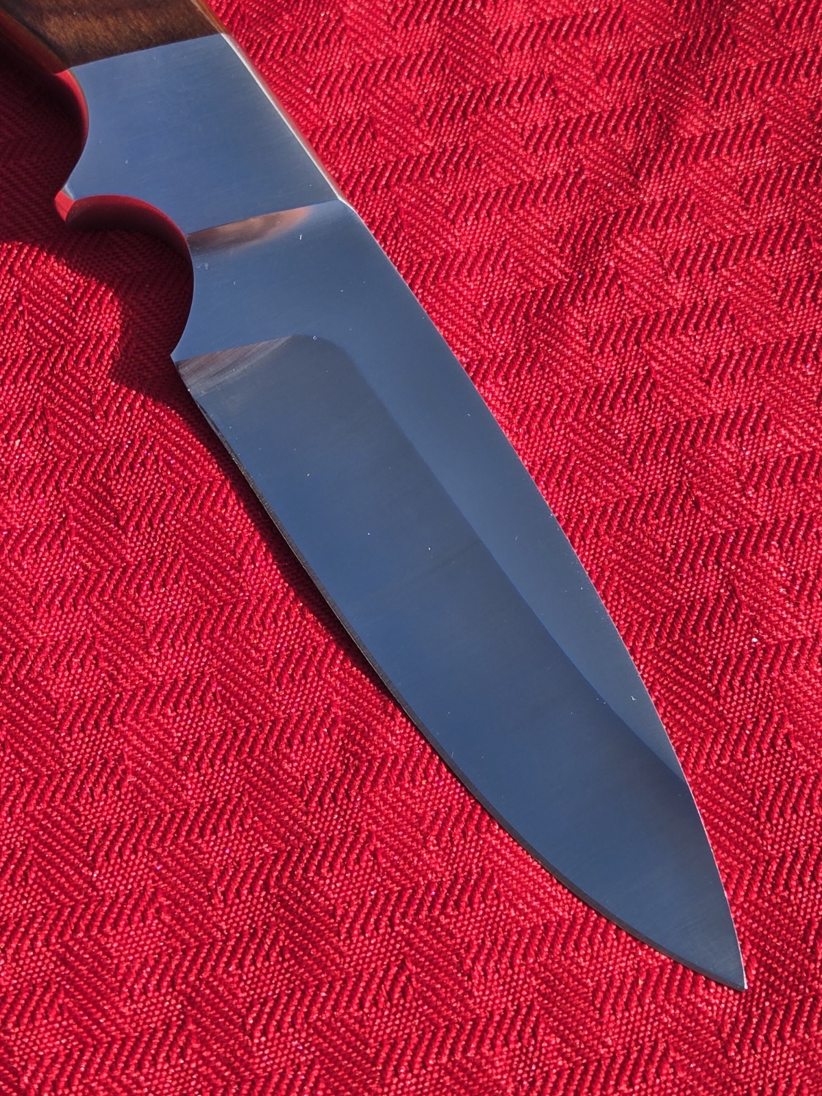 COLTELLO OLIVETTO Hunting Fixed Blade Hunter Knife Handle Italy UNUSED COND EXC