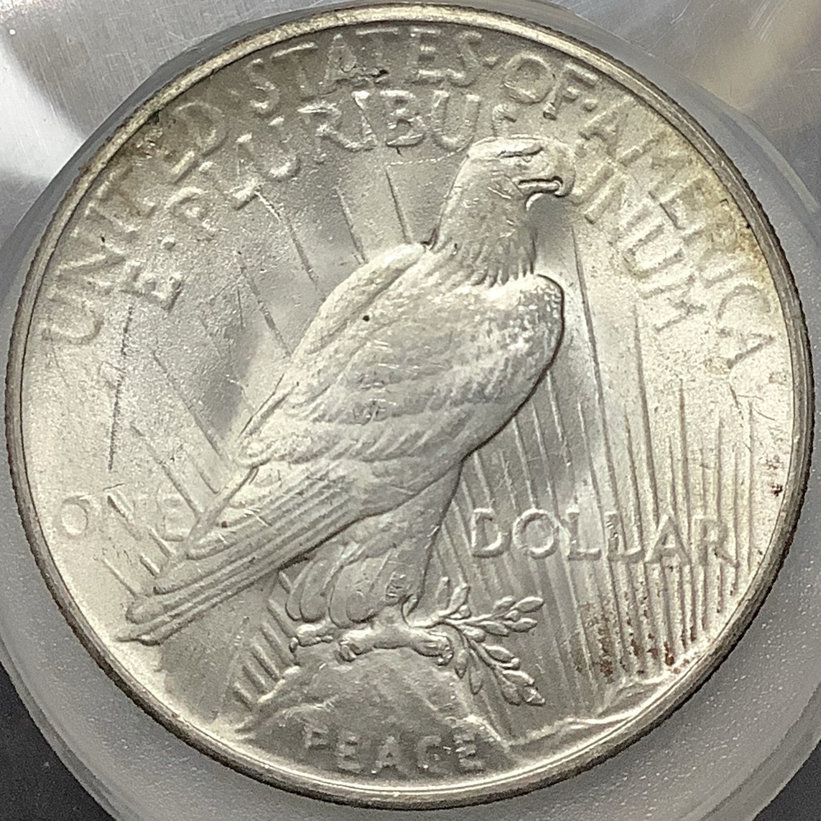 1925 Peace Silver Dollar - Lustrous Choice BU 001