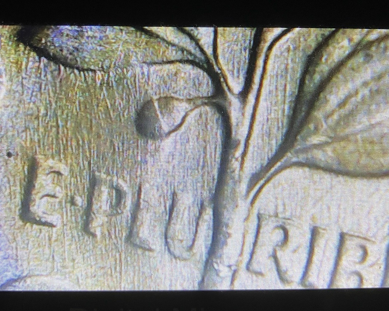 2 Silver Roosevelt Dimes 1959 D "Acorn " Die Clash 1964 Lamination errors
