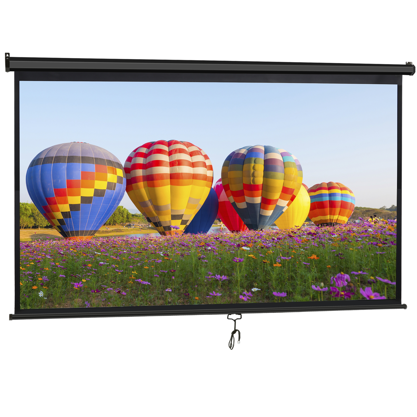 Outdoor Projector Screen Pull Down 80" 16:9 HD Ceiling Projection Screen Black