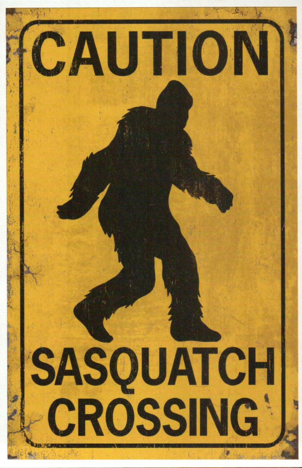 Caution Sasquatch Crossing, Bigfoot Yeti, US & Canada ? -- Modern Funny Postcard