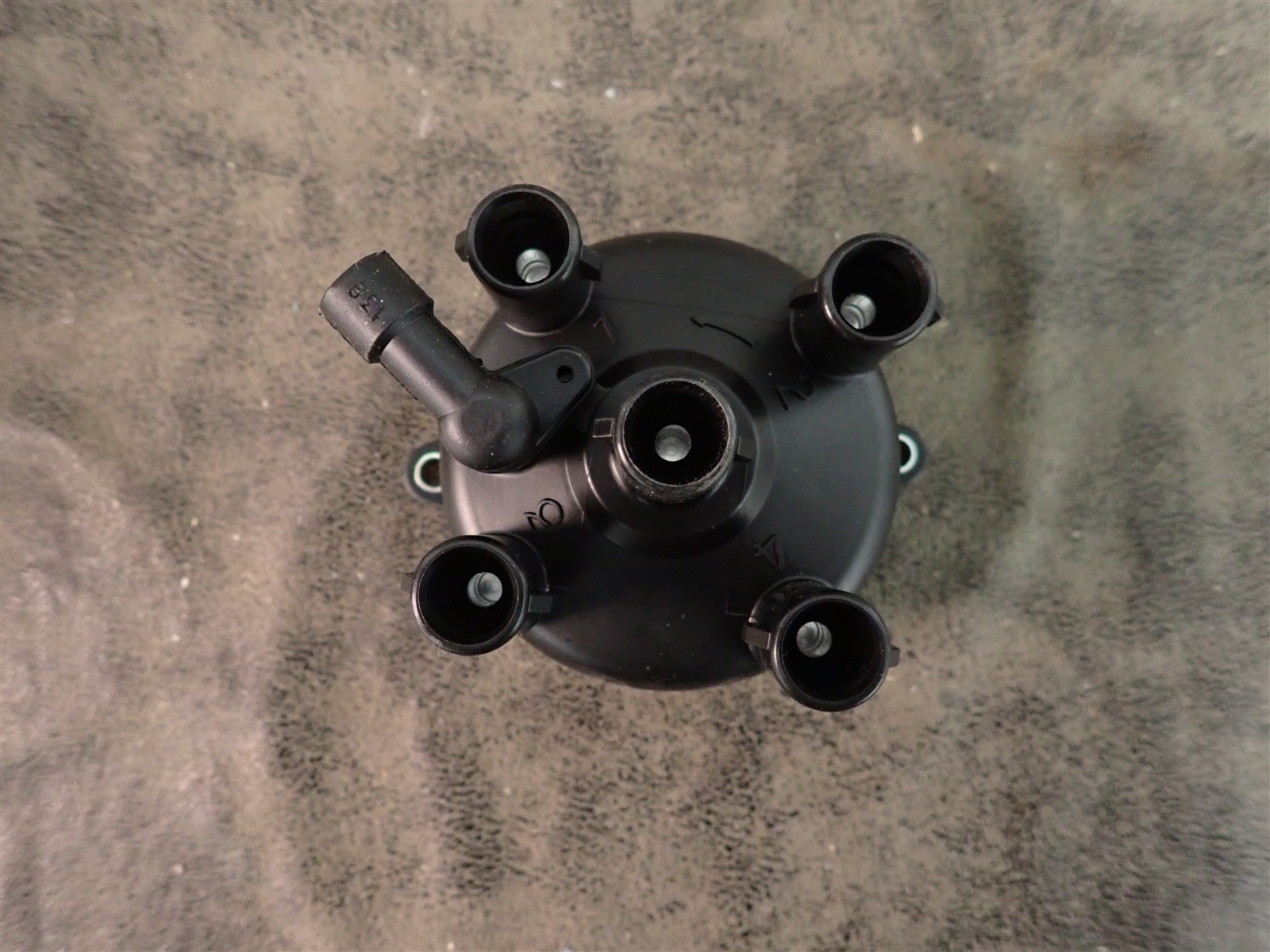 NEW WVE 5D1286 Distributor Cap (G209)