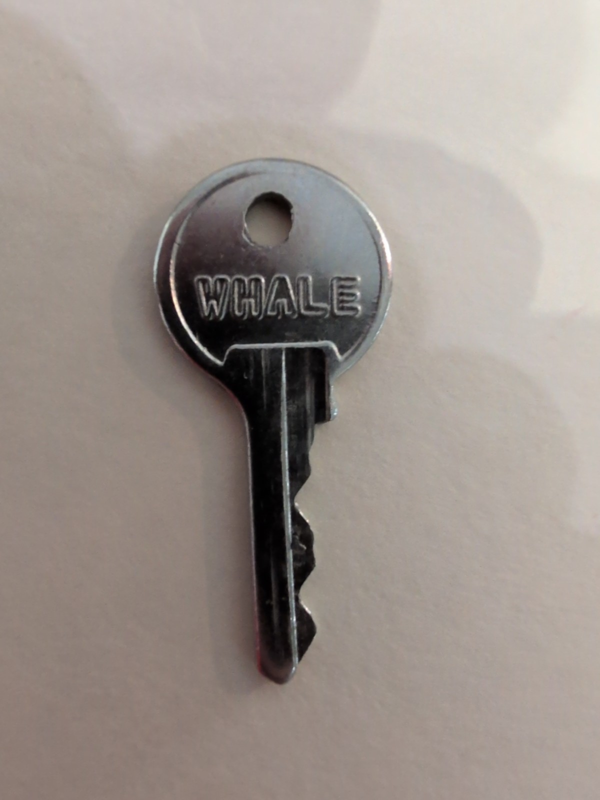 Whale, Key