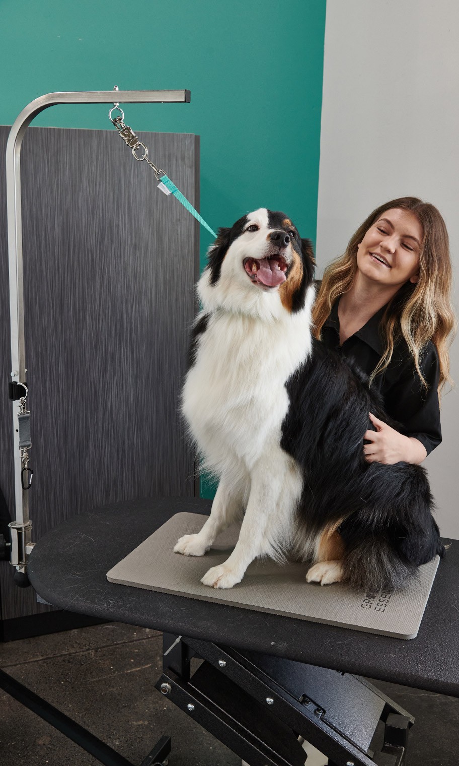 Groomer Essentials 17" Grooming Loops - Turquoise