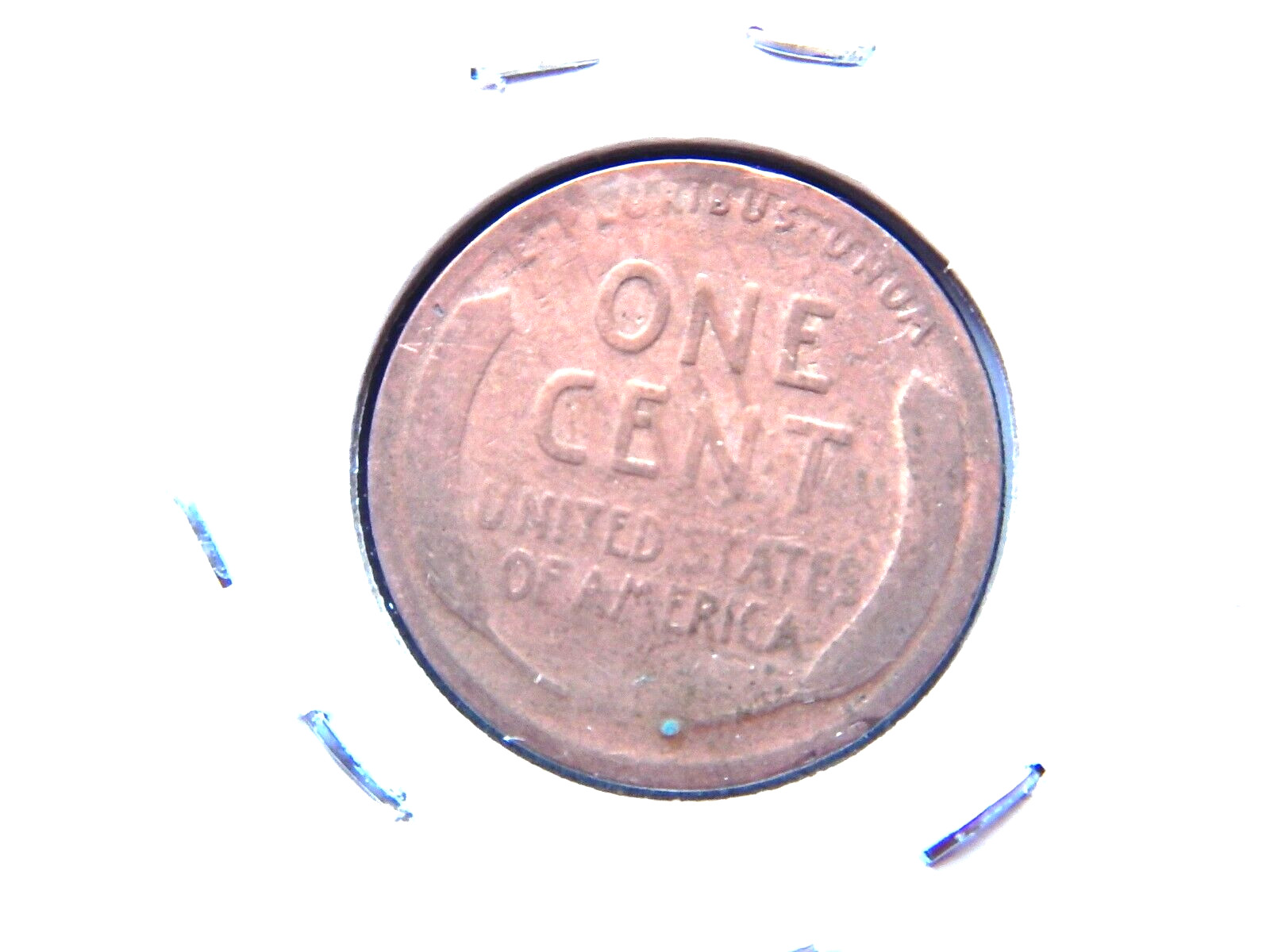 1919 (D) Lincoln Penny