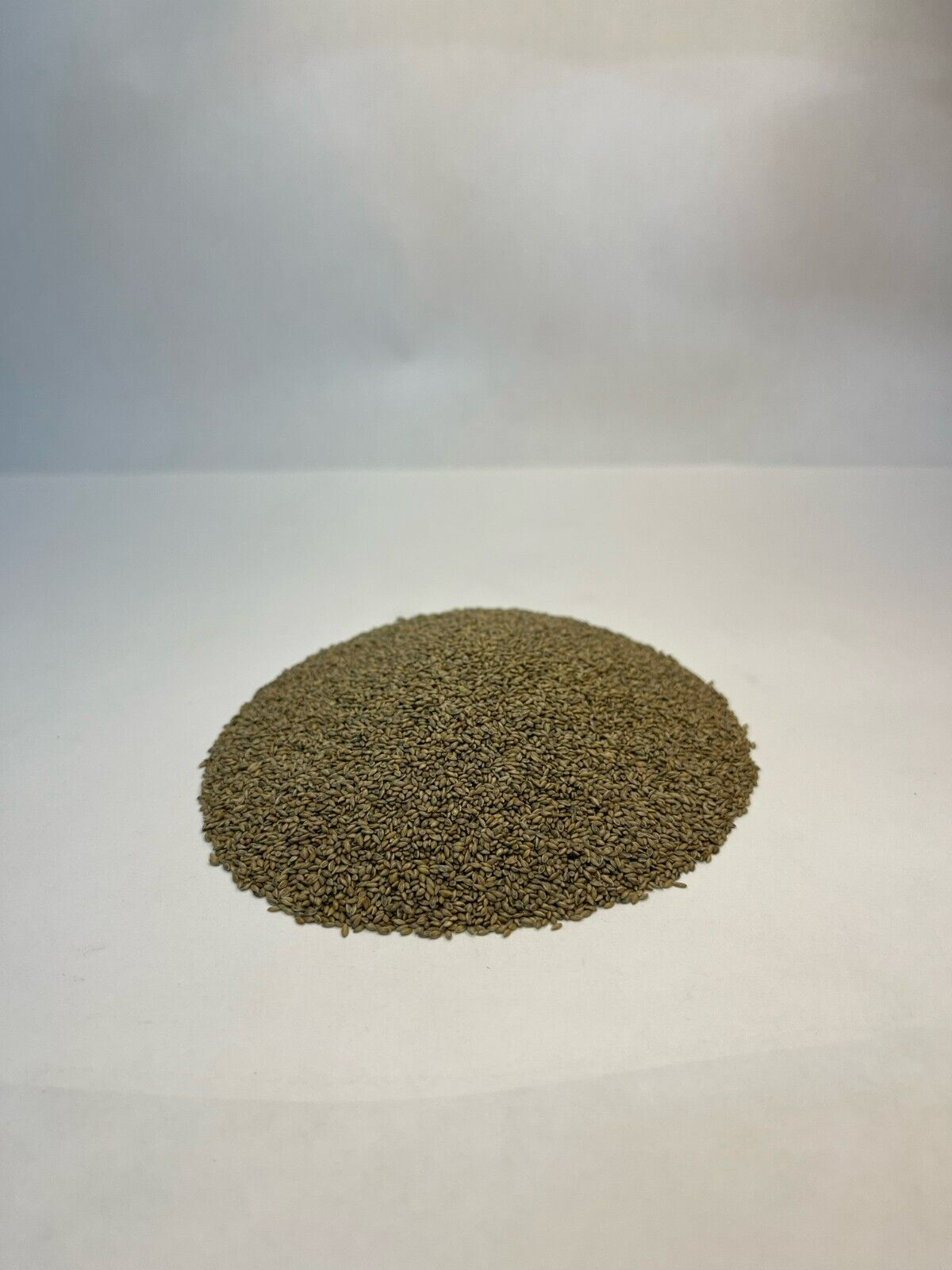 4 LB SWITCHGRASS NATIVE GRASS SEED - EXCELLENT DEER BEDDING AND UPLAND COVER