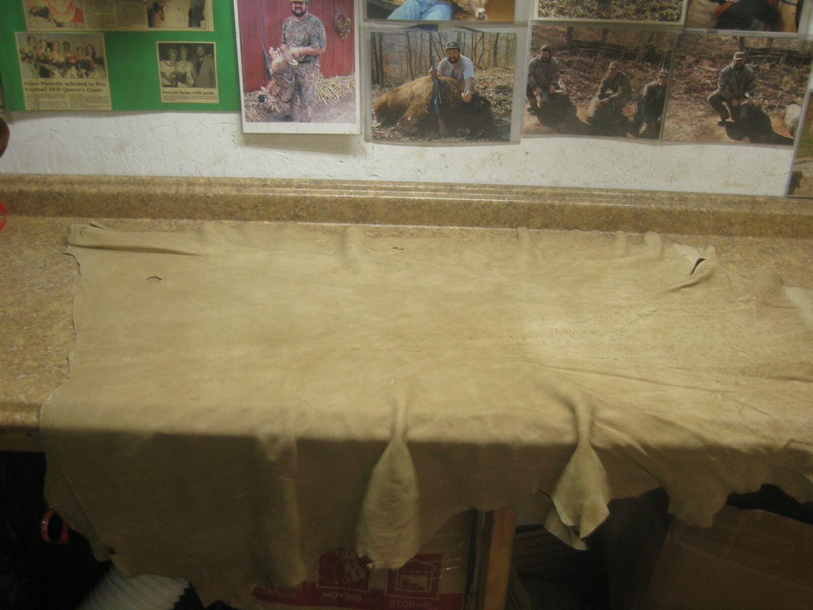 Tanned Buffed Deer Leather 0011263 Row AA a