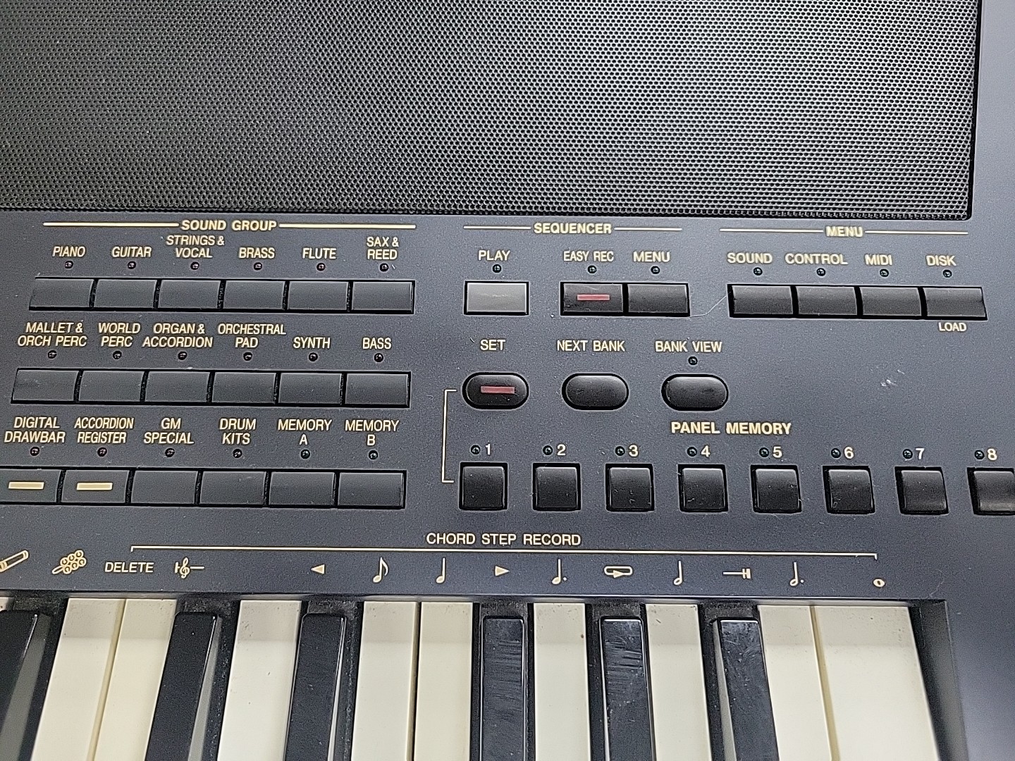 Technics SX-KN6000 Digital Synthesizer Keyboard kn6000P-S w Custom Rhythms
