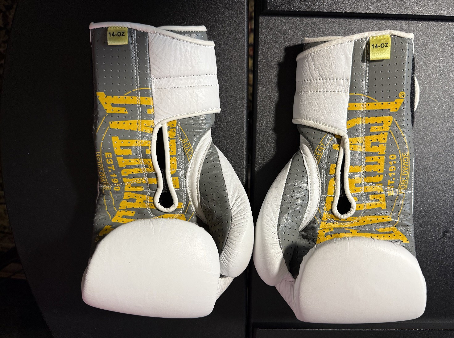 EVERLAST PREMIUM BOXING GLOVES 1910  14-OZ White Great Condition