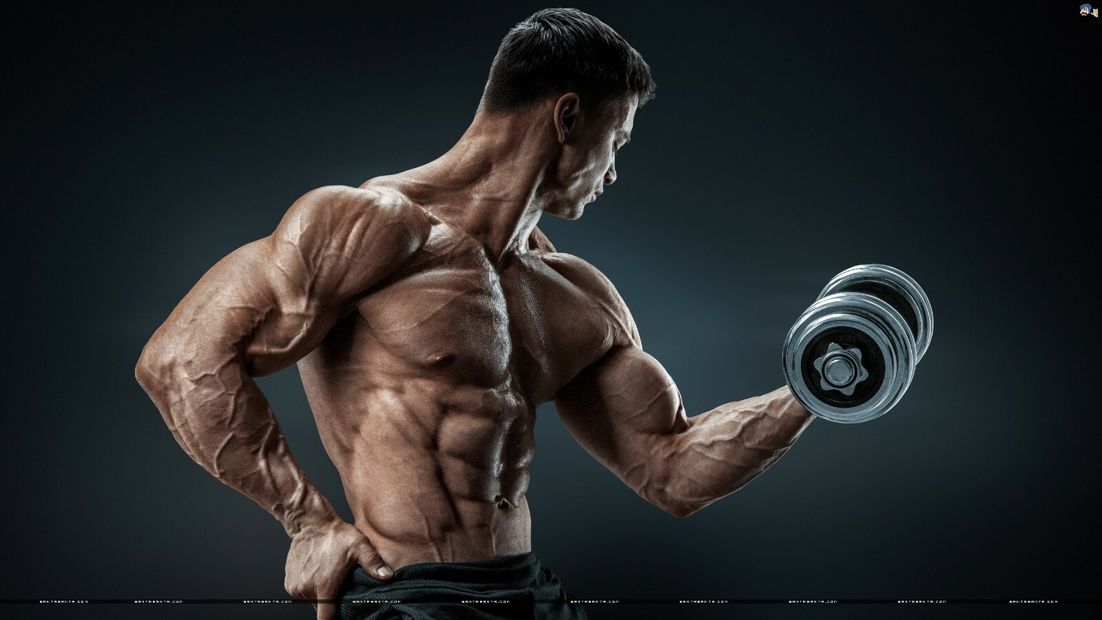 energy boost for workout - BCAA 3000MG - leucine loaded bcaa 1B