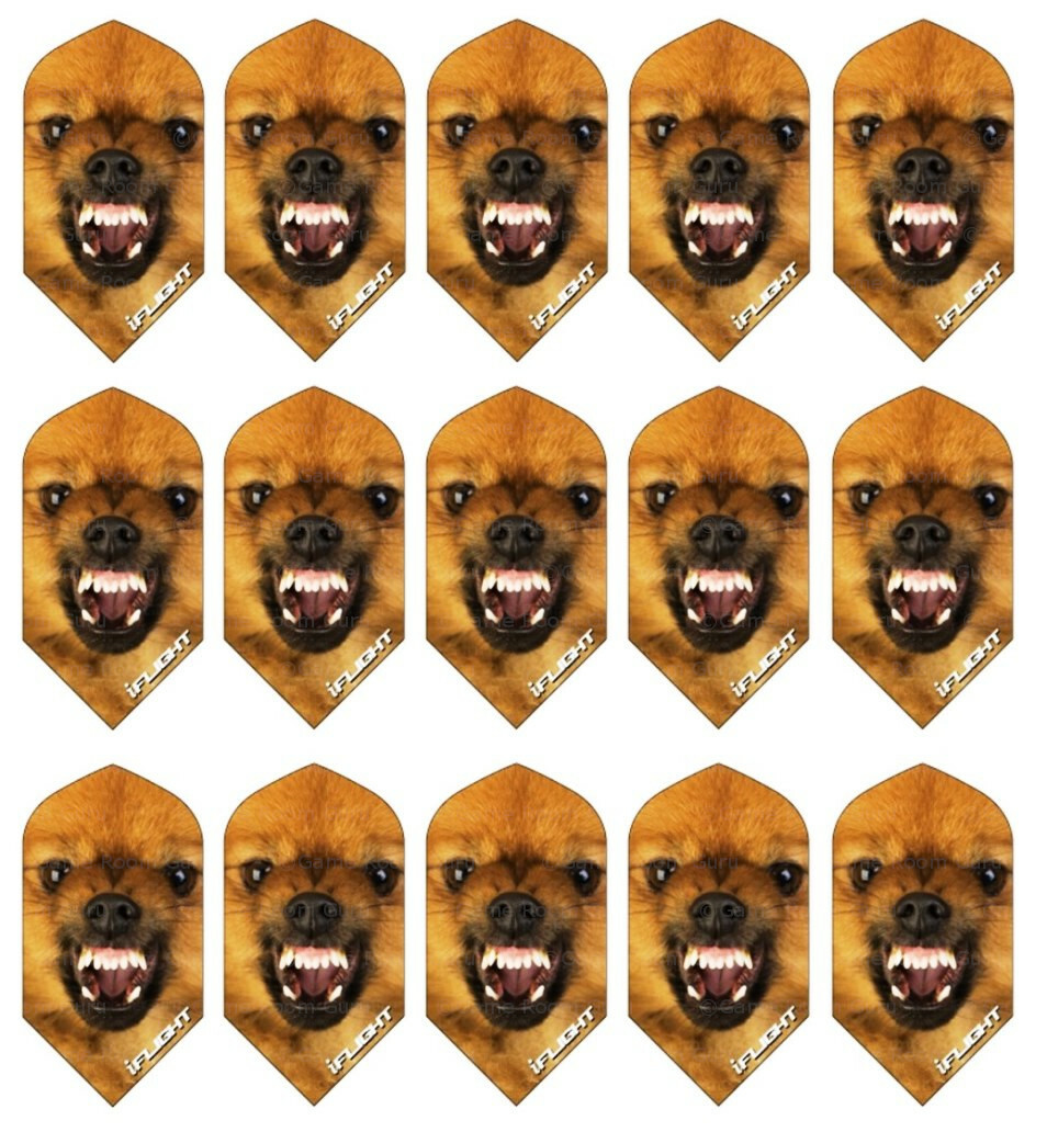 5 Sets Ruthless iFlights Slim Dart Flights - Ships w/ Tracking - Mad Dog