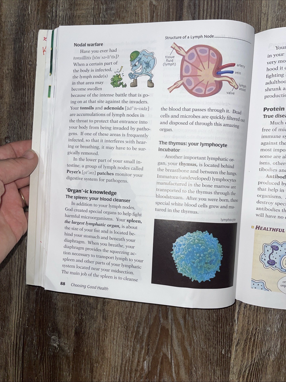 Abeka Choosing Good Health Third Edition Student Textbook