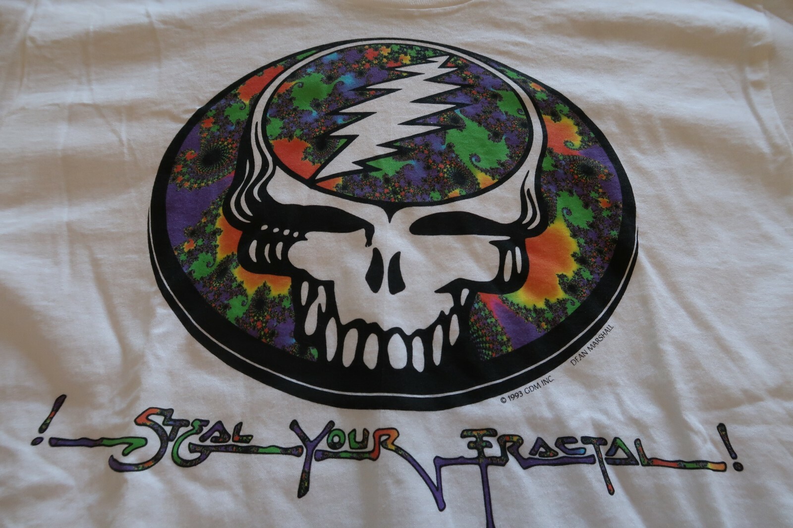 VINTAGE GRATEFUL DEAD WINTER TOUR 93 T SHIRT THE DEAD AND COMPANY DEAD FRACTAL