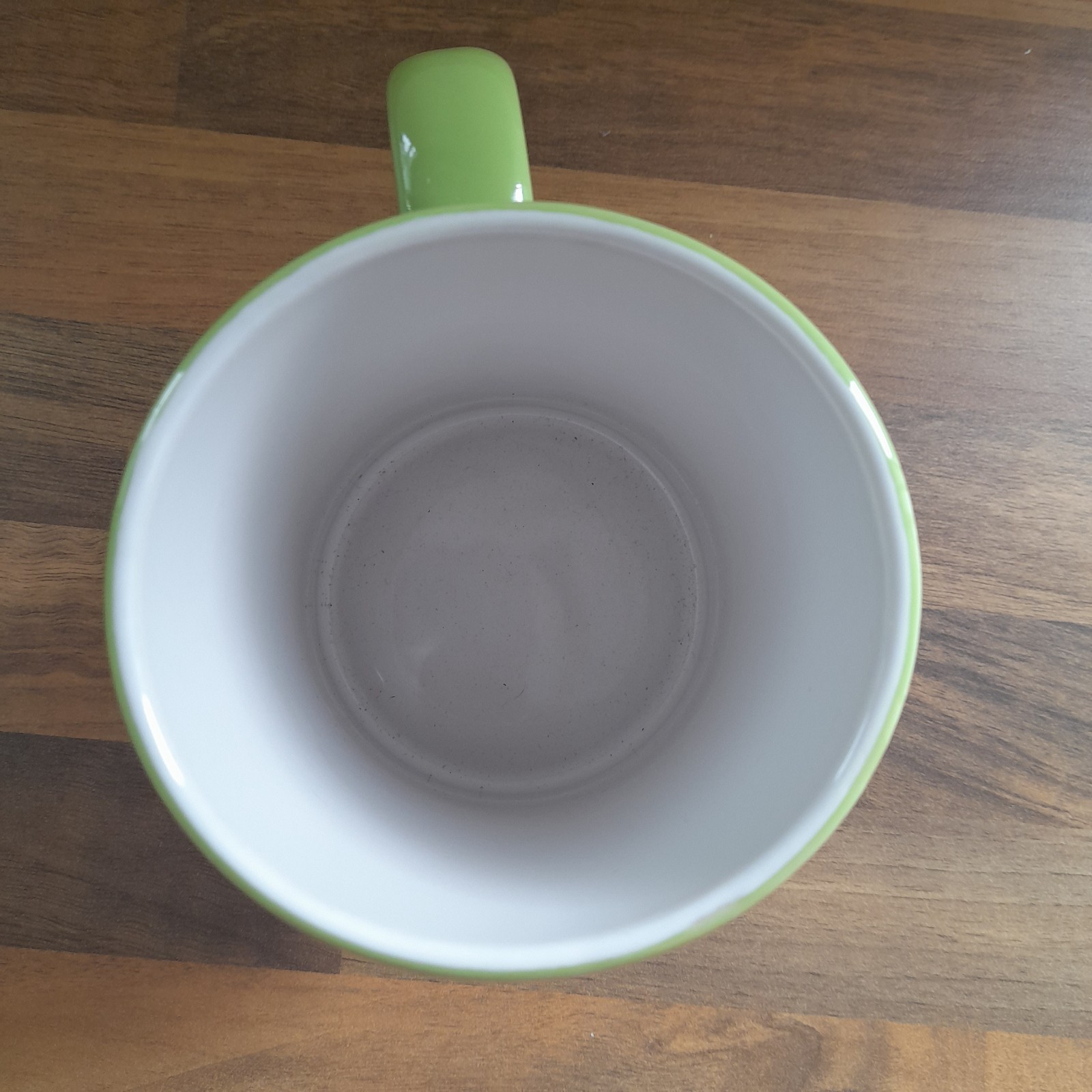 Disney Large Curved Mickey & Pluto Green Mug