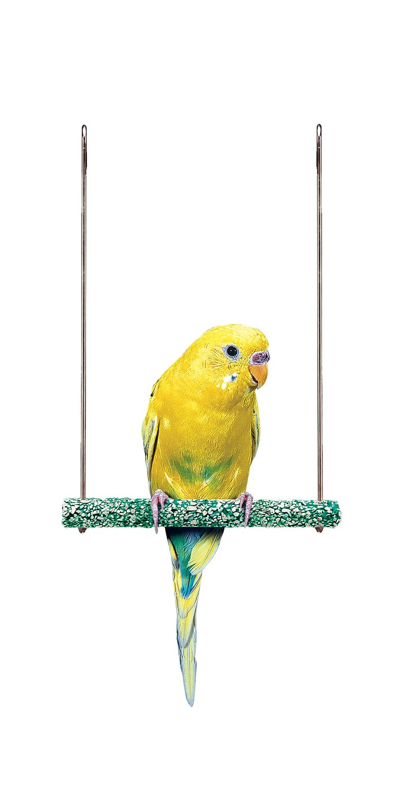 Penn-Plax Bird-Life Trimmer Plus Cement & Metal Swing – Naturally Trims Nails