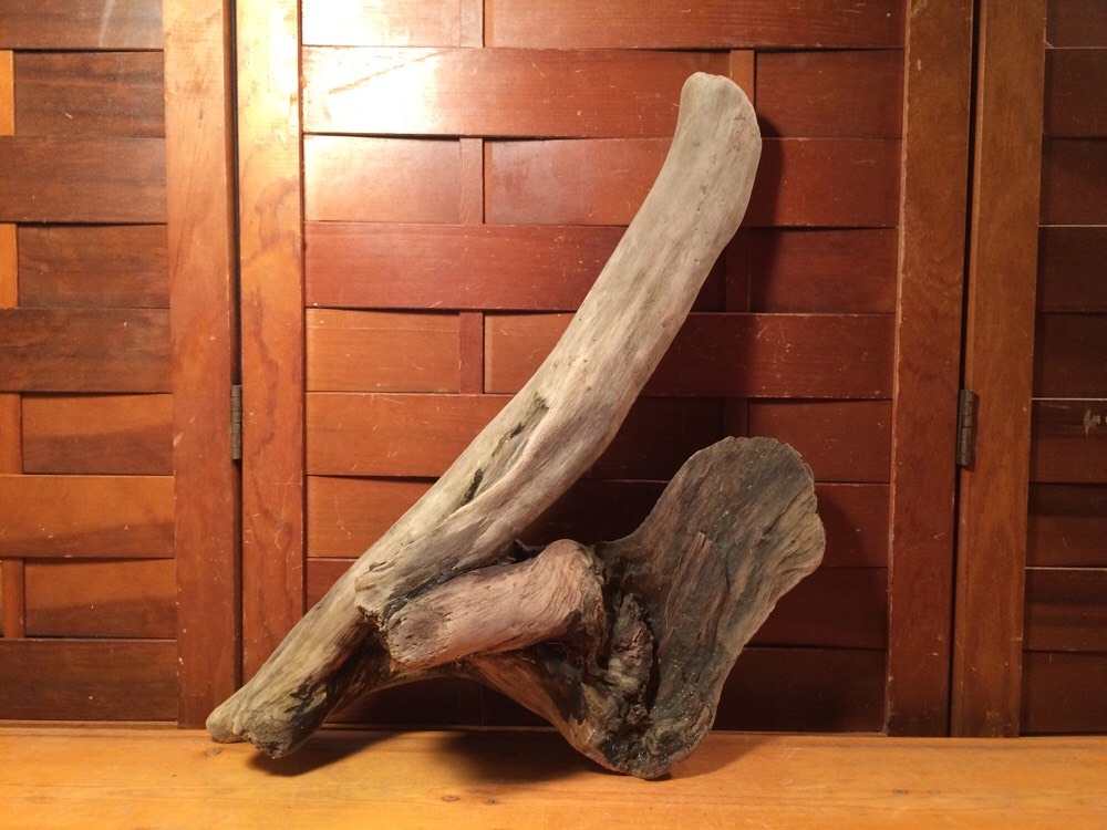 Beautiful 18" DRIFTWOOD Piece Art Terrarium Taxidermy Aquarium Beach Wood DECOR