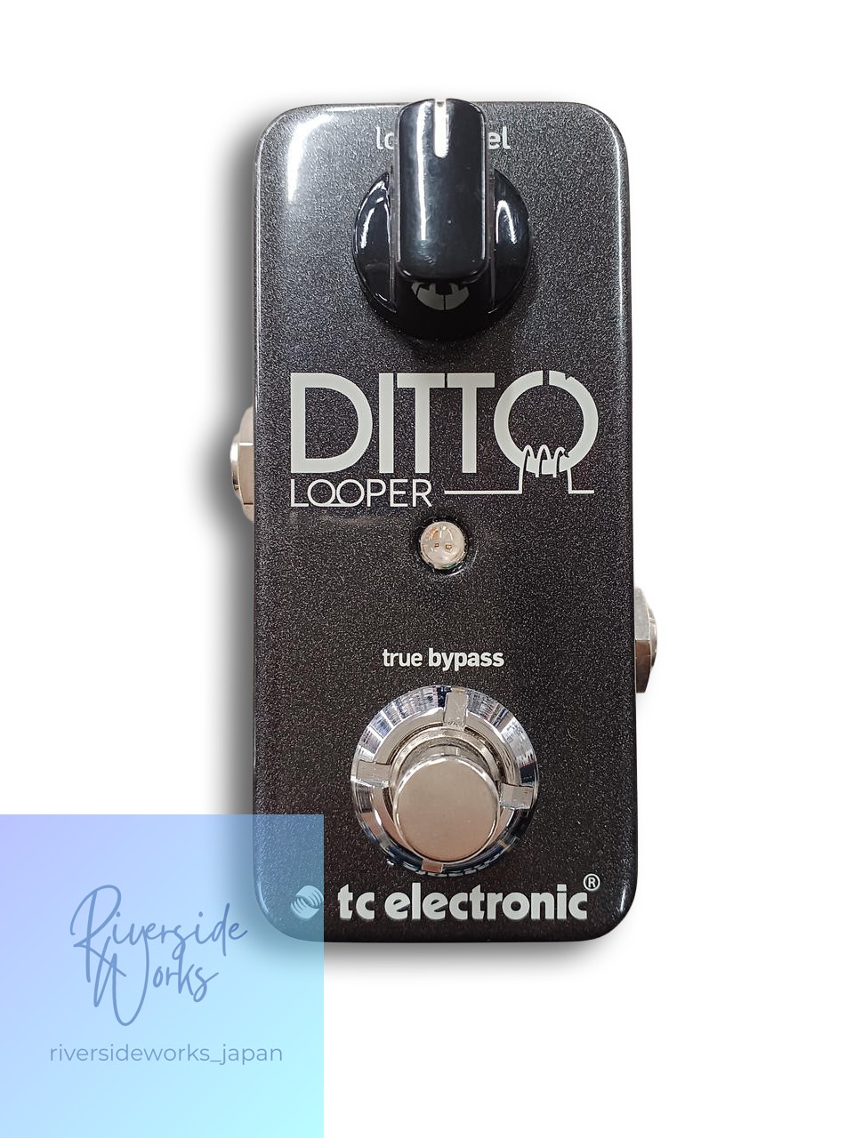 TC ELECTRONIC Effecter DITTO LOOPER