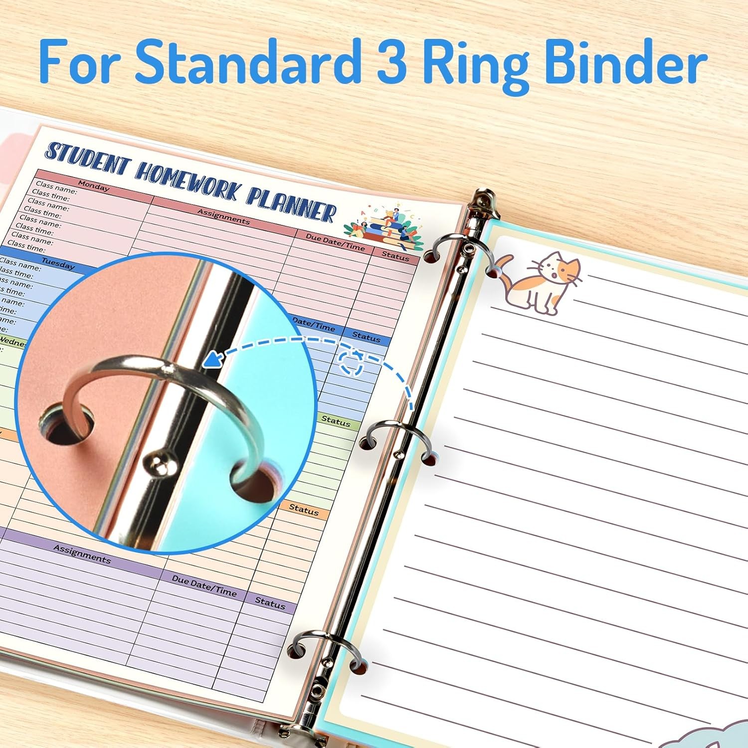 Forvencer 8-Tab Binder Dividers with Tabs, Big Write&Erase 2 Set, Muted