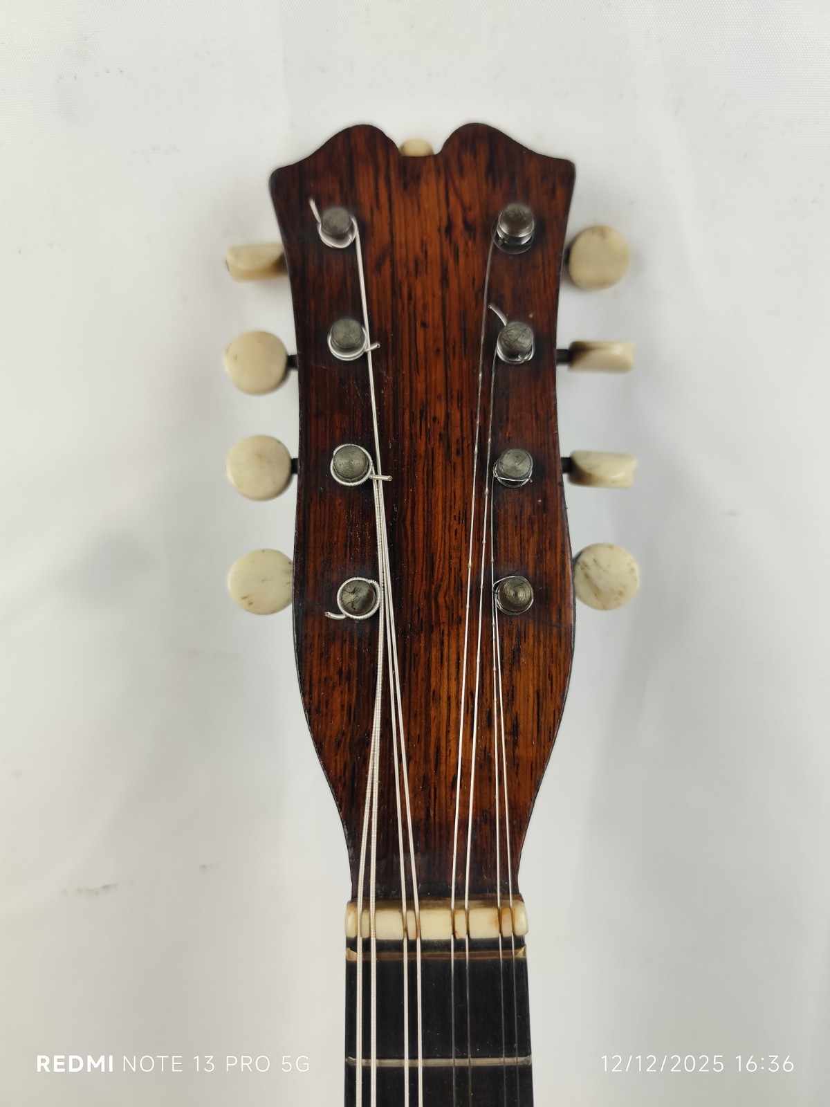 Very Rare Mandolin Signed Sarablo (JTL) 1911 France 4/4 曼陀林 만돌린マンドリン
