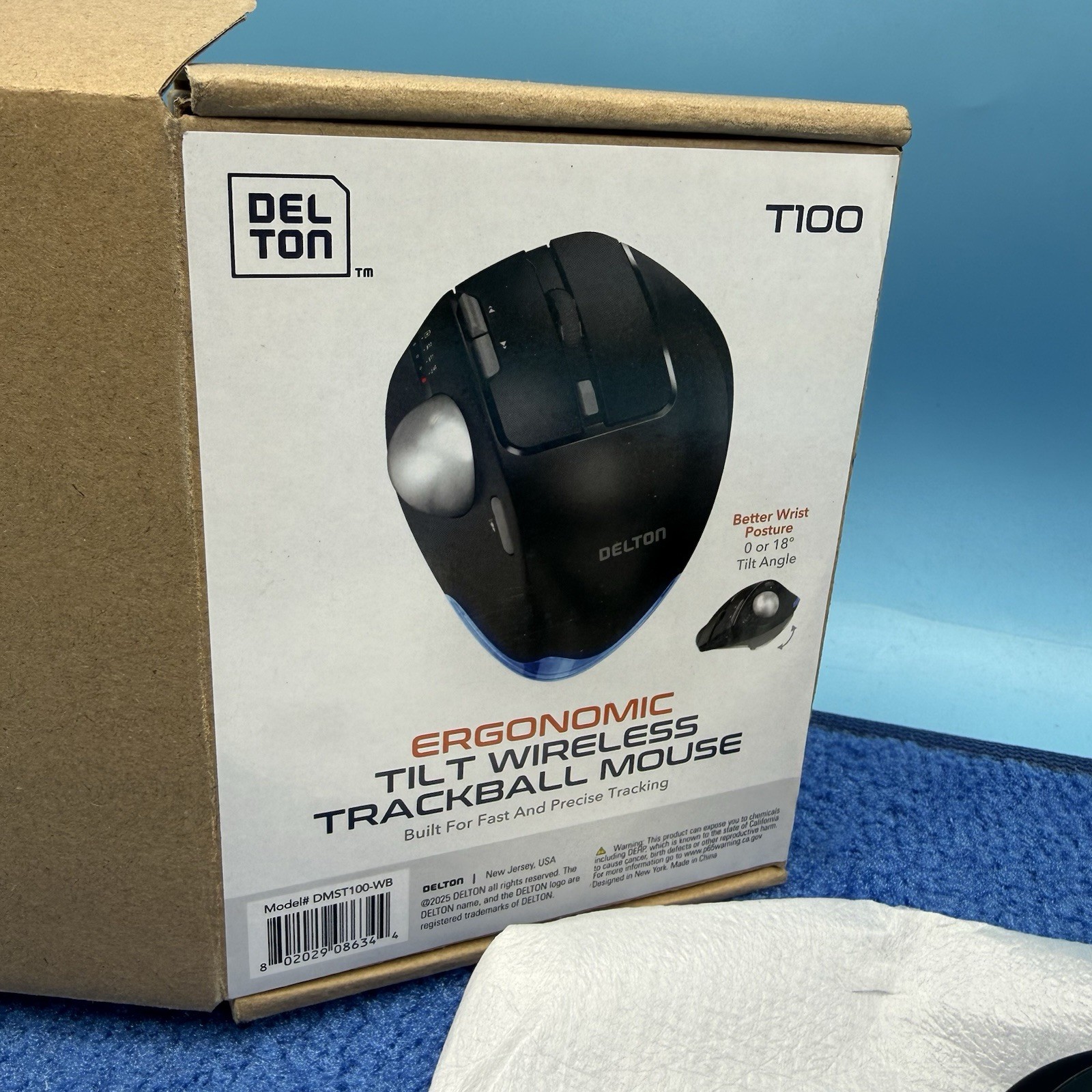 Delton T100 Wireless Trackball Mouse, Rechargeable Computer Mouse, Black
