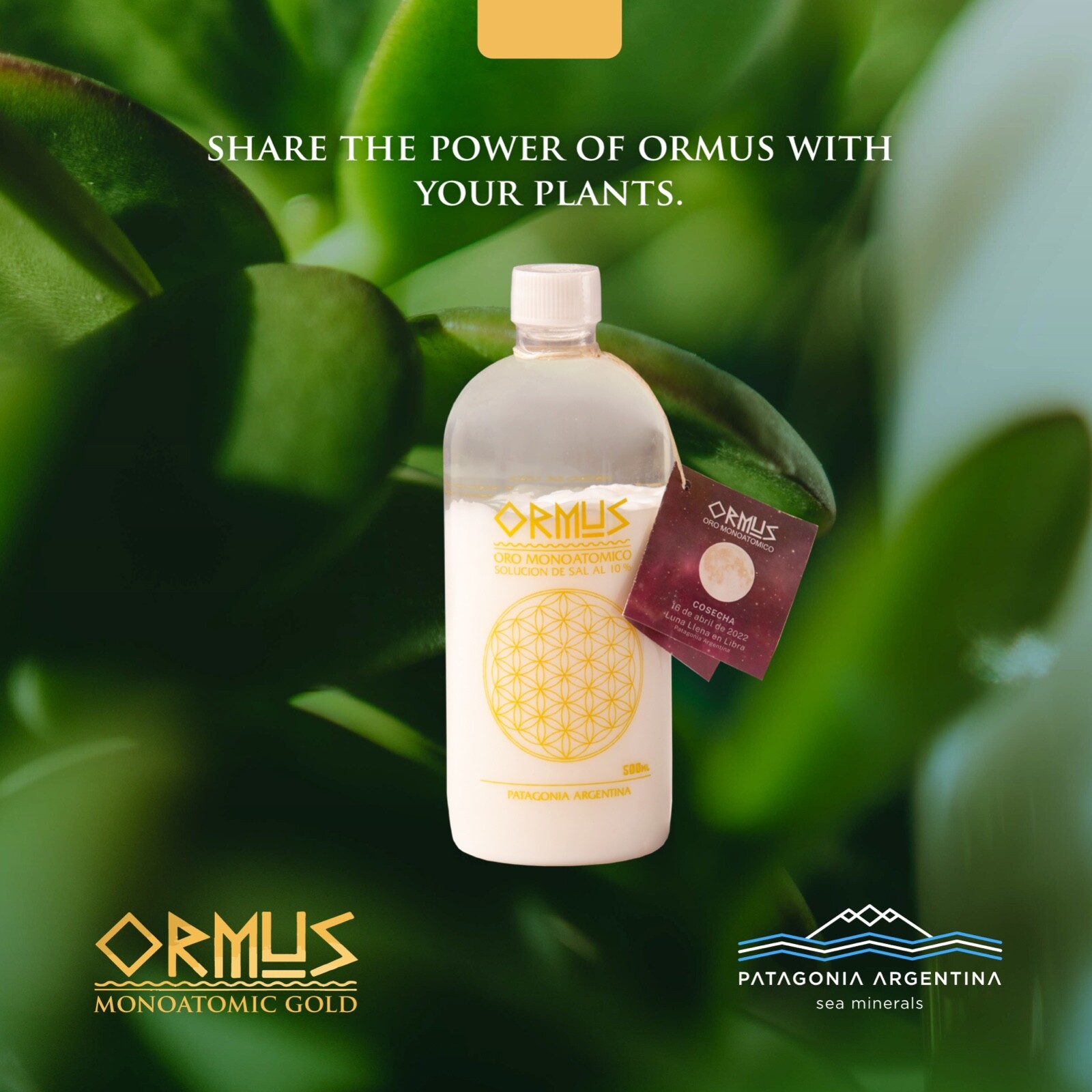 MONOATOMIC GOLD ORMUS 17oz-MEMORY AID,ENERGETICALLY ENHANCED, REJUVENATING
