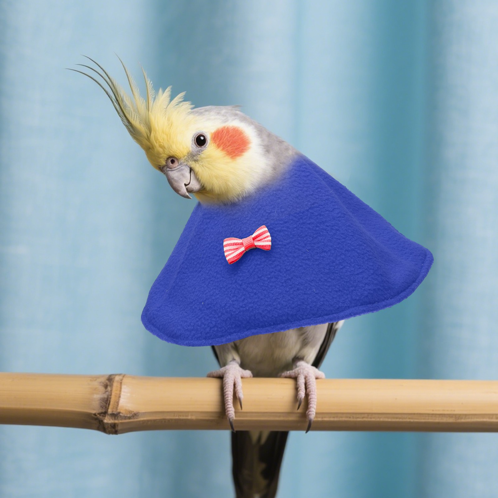 Bird Collars Bird Cone Collar Protective Cones Blue XS 3Pcs
