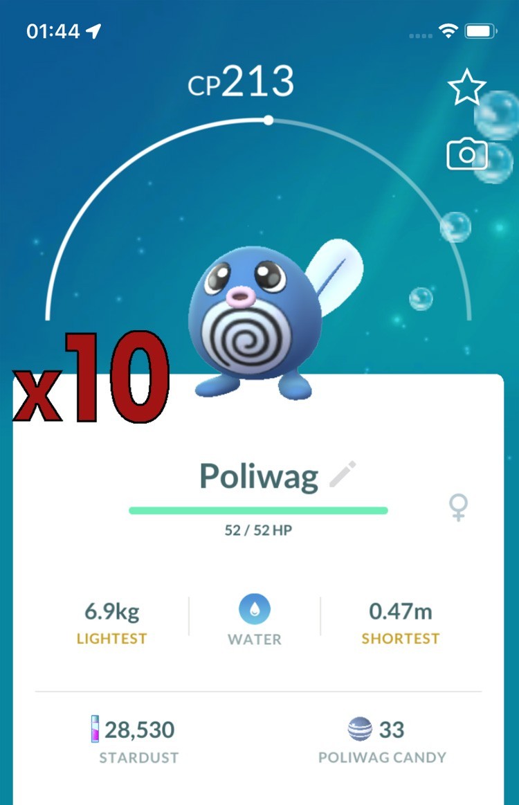 10x Poliwag Pokemon Bundle !! Good Chance of Lucky and Good IVs !! Go