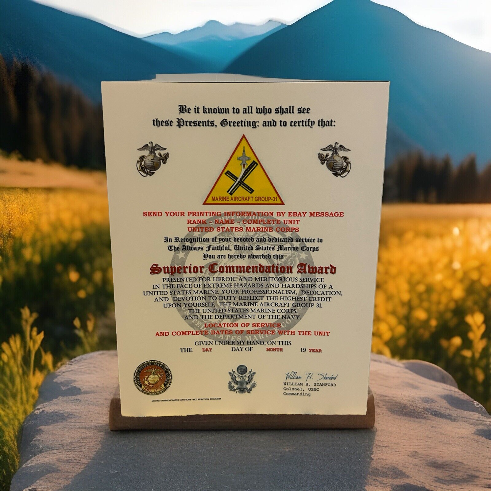 U.S.M.C. / MARINE AIRCRAFT GROUP 31 - SUPERIOR COMMENDATION AWARD