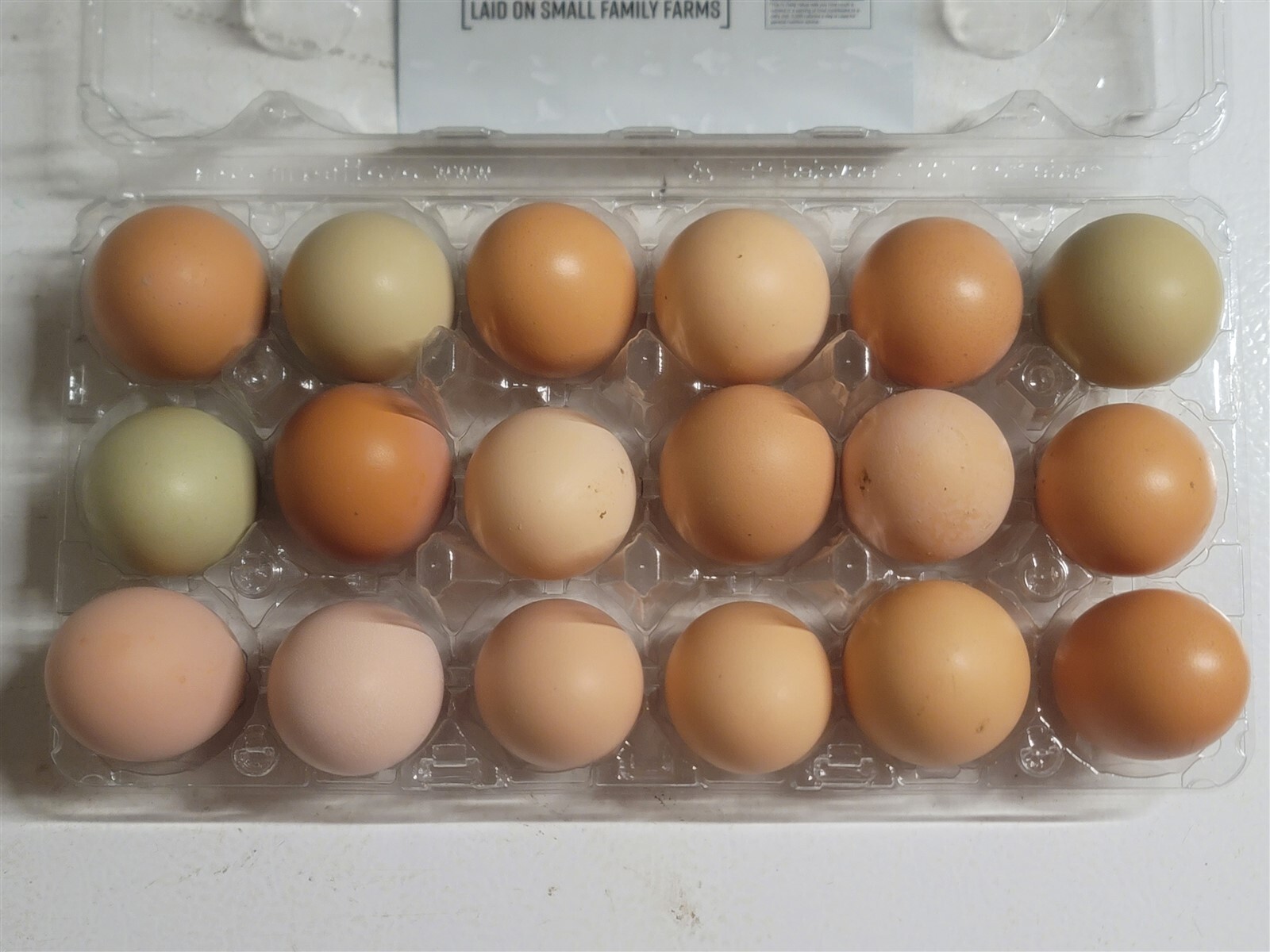 44 Fresh Fertile Chicken Hatching Eggs