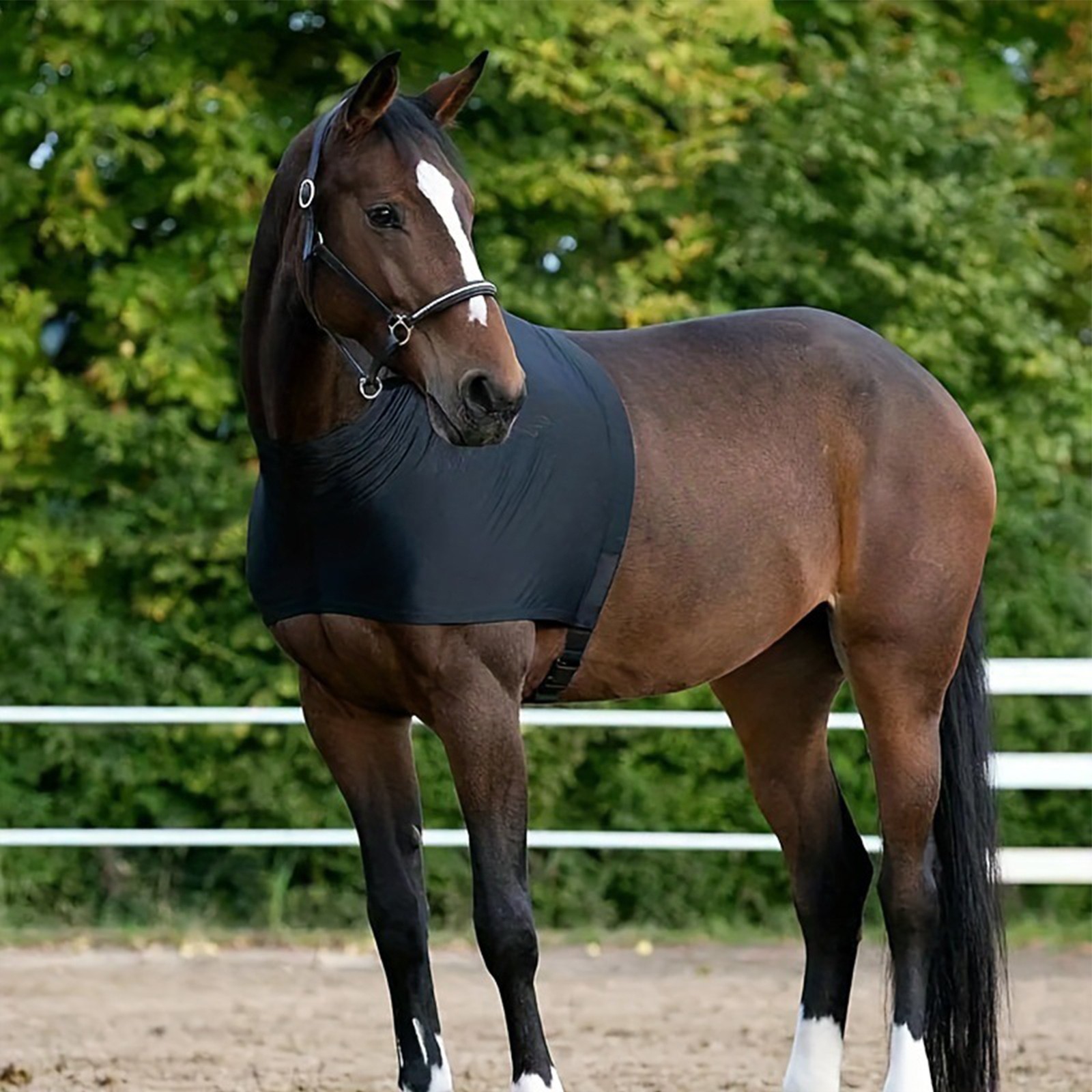 Horse Shoulder Guard Breathable Chest Saver Horse Belly Guard Shoulder trendy