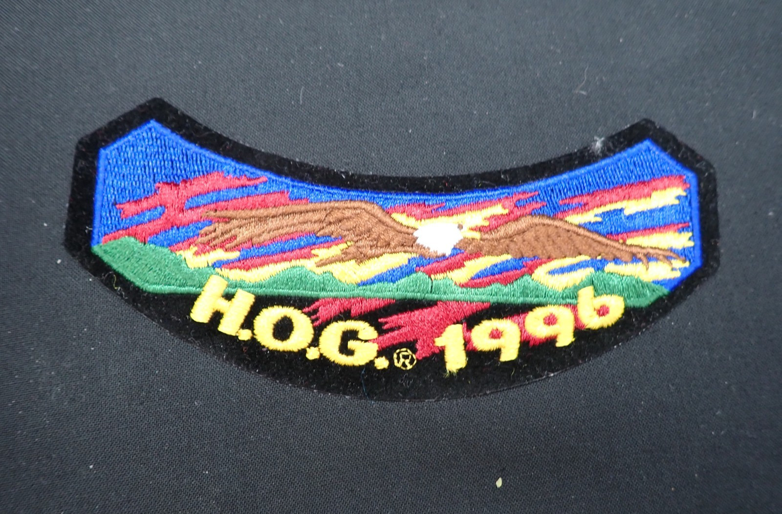 HOG Harley Davidson Owners Group 1996 Vest Jacket Patch NEW