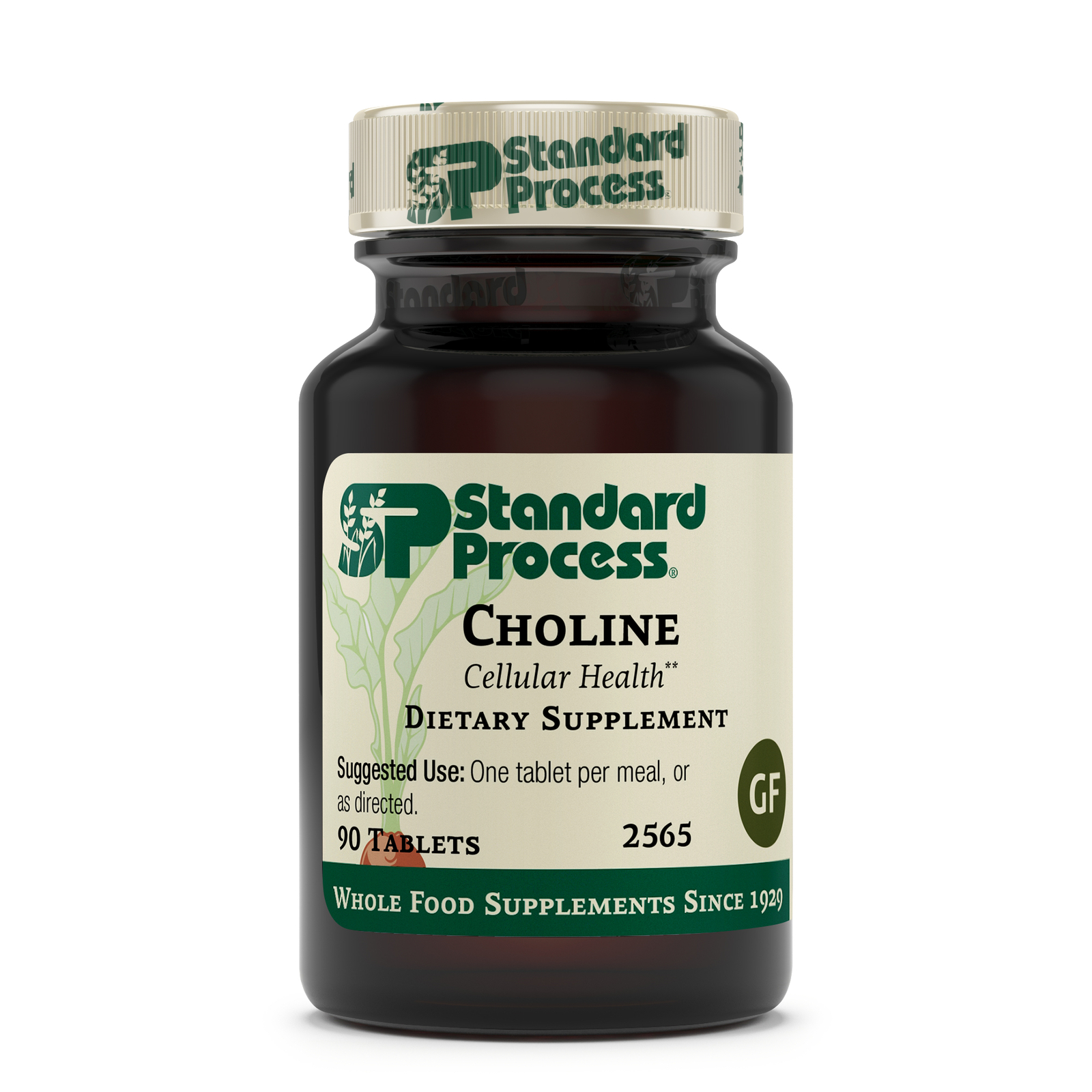 Standard Process - Choline - 90 Tablets