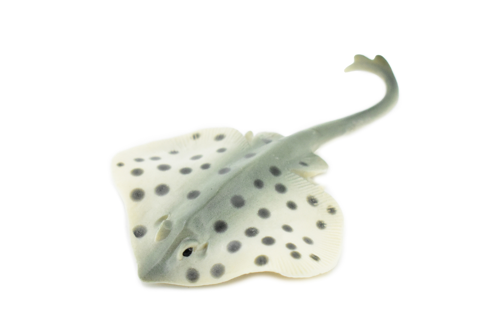 Spotted Stingray Fish Hand Painted Realistic Toy Figurine Model 4.5" CH453 BB114