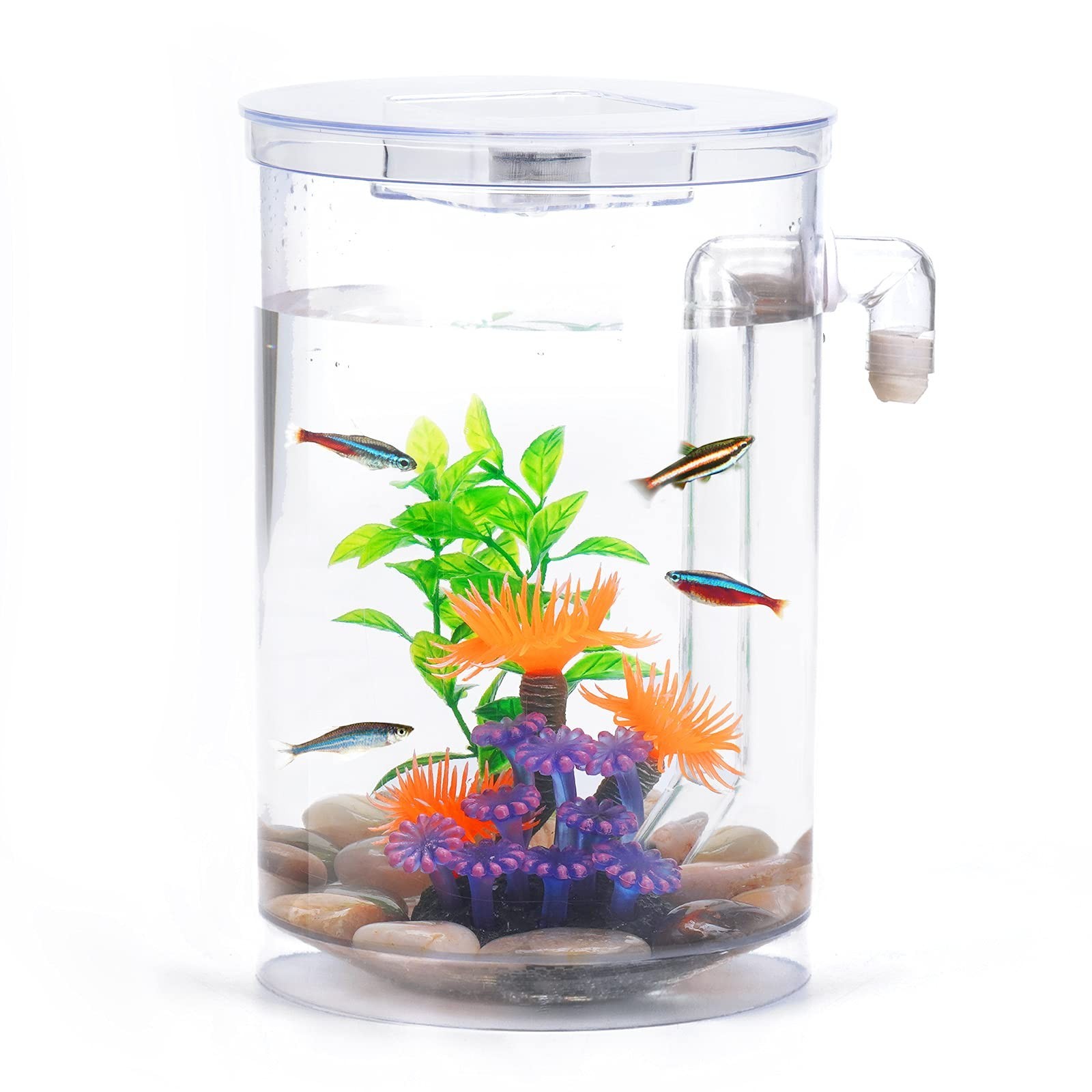 Betta Fish Tank, 360 Aquarium with LED Light, 1 Gallon Fish Bowl, Small Fish ...